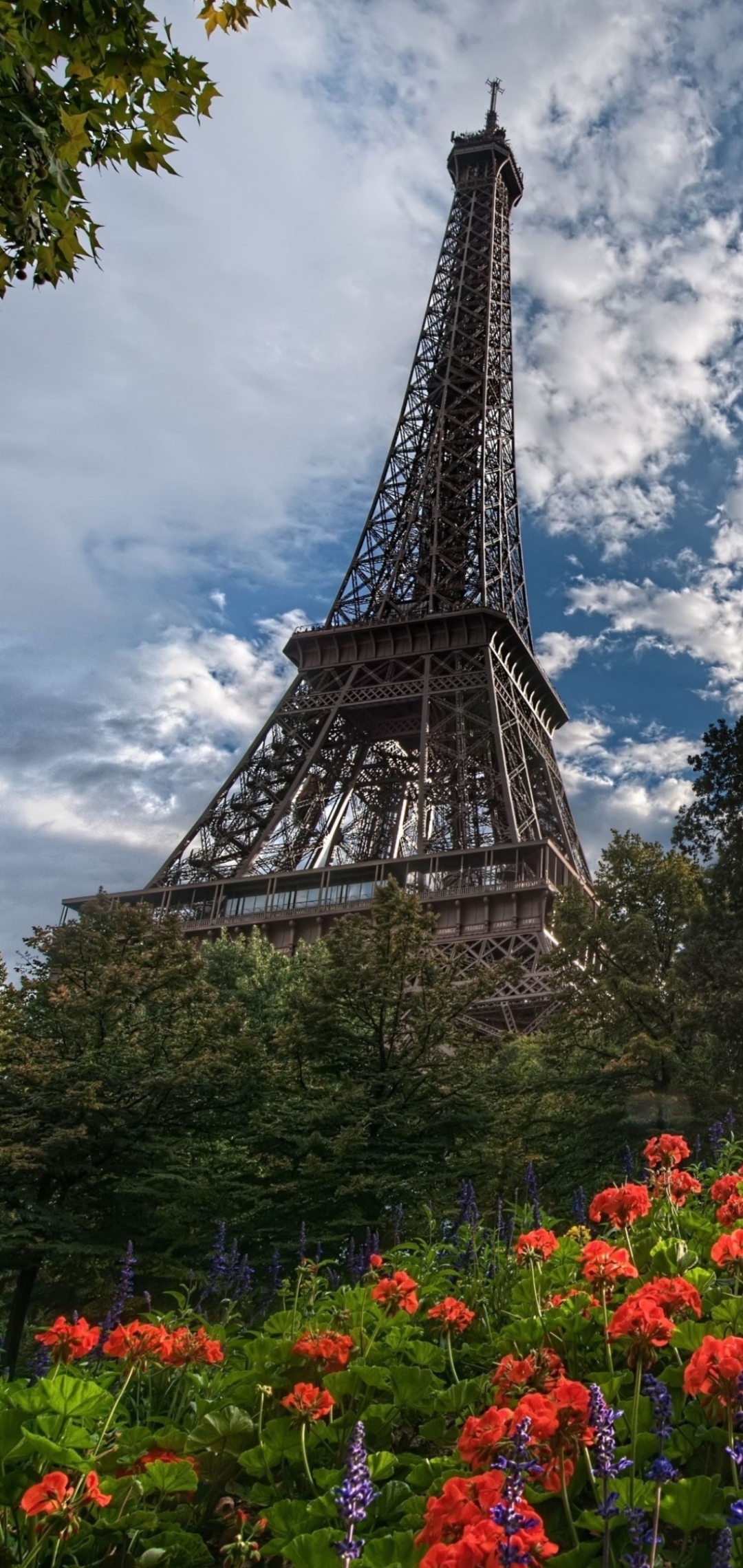 1188601 économiseurs d'écran et fonds d'écran Tour Eiffel sur votre téléphone. Téléchargez  images gratuitement
