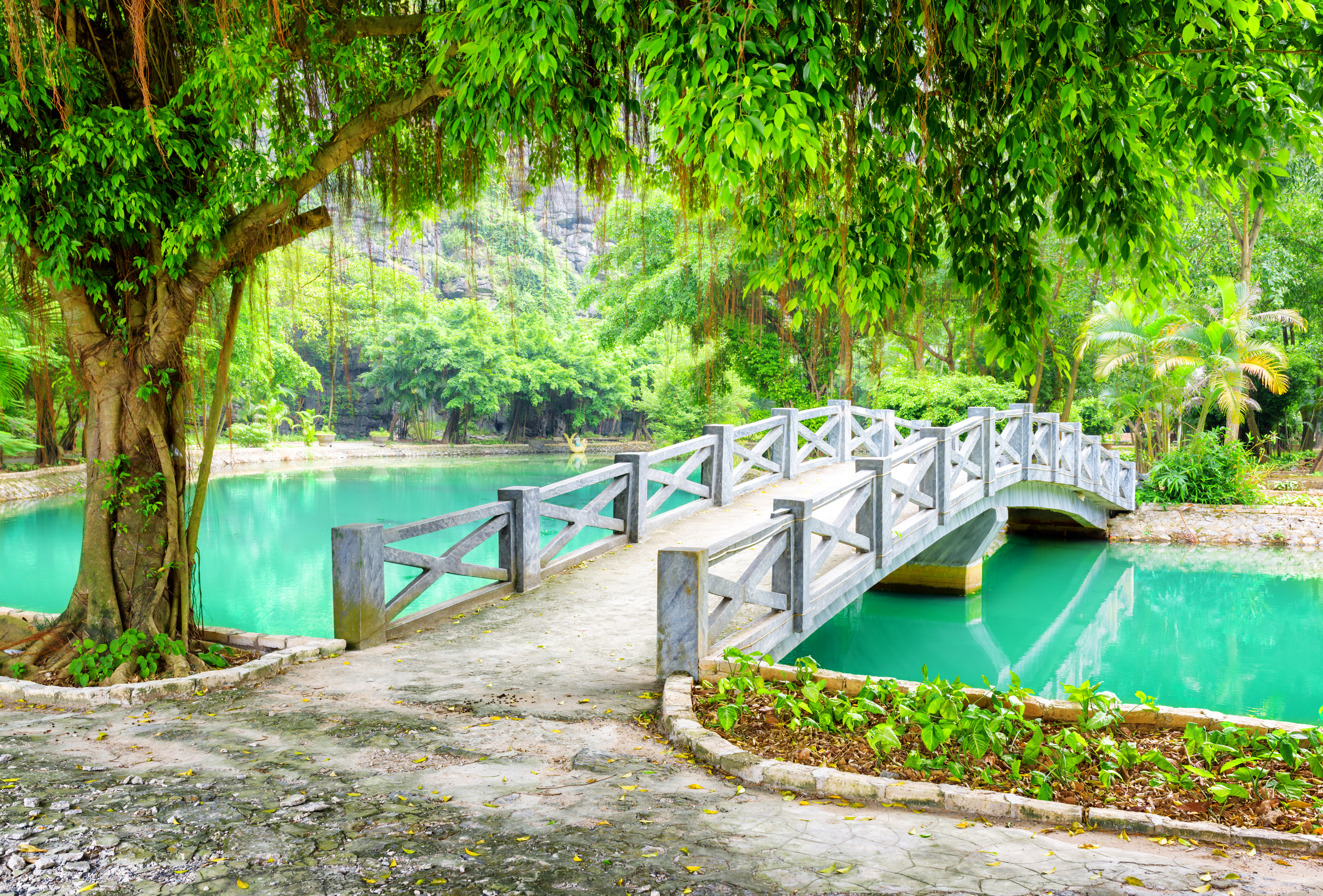 1528645 скачать картинку вьетнам, парк, мост, тропический, сделано человеком, зеленый, дерево, мосты - обои и заставки бесплатно