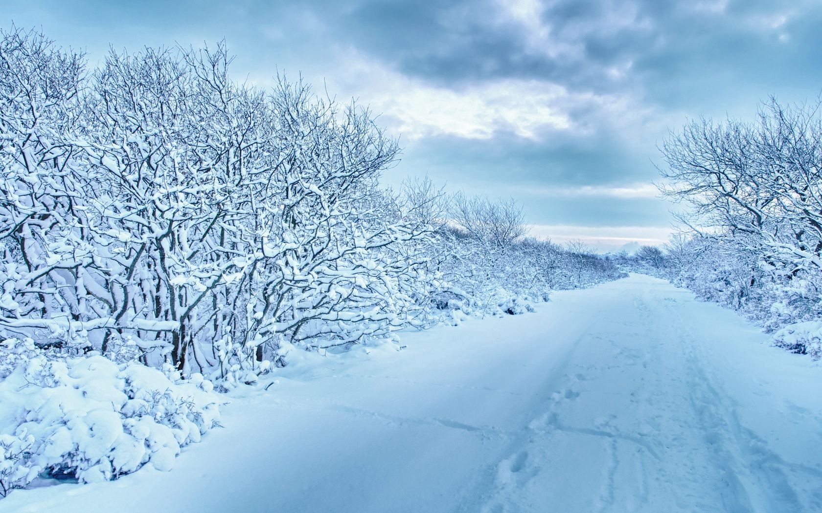 Free download wallpaper Trees, Snow, Overcast, Traces, Winter, Road, Mainly Cloudy, Nature on your PC desktop