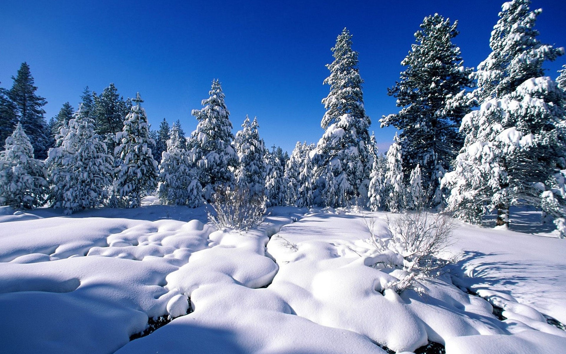 Téléchargez gratuitement l'image Hiver, Terre/nature sur le bureau de votre PC