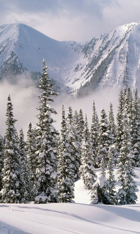 Descarga gratuita de fondo de pantalla para móvil de Invierno, Tierra/naturaleza.