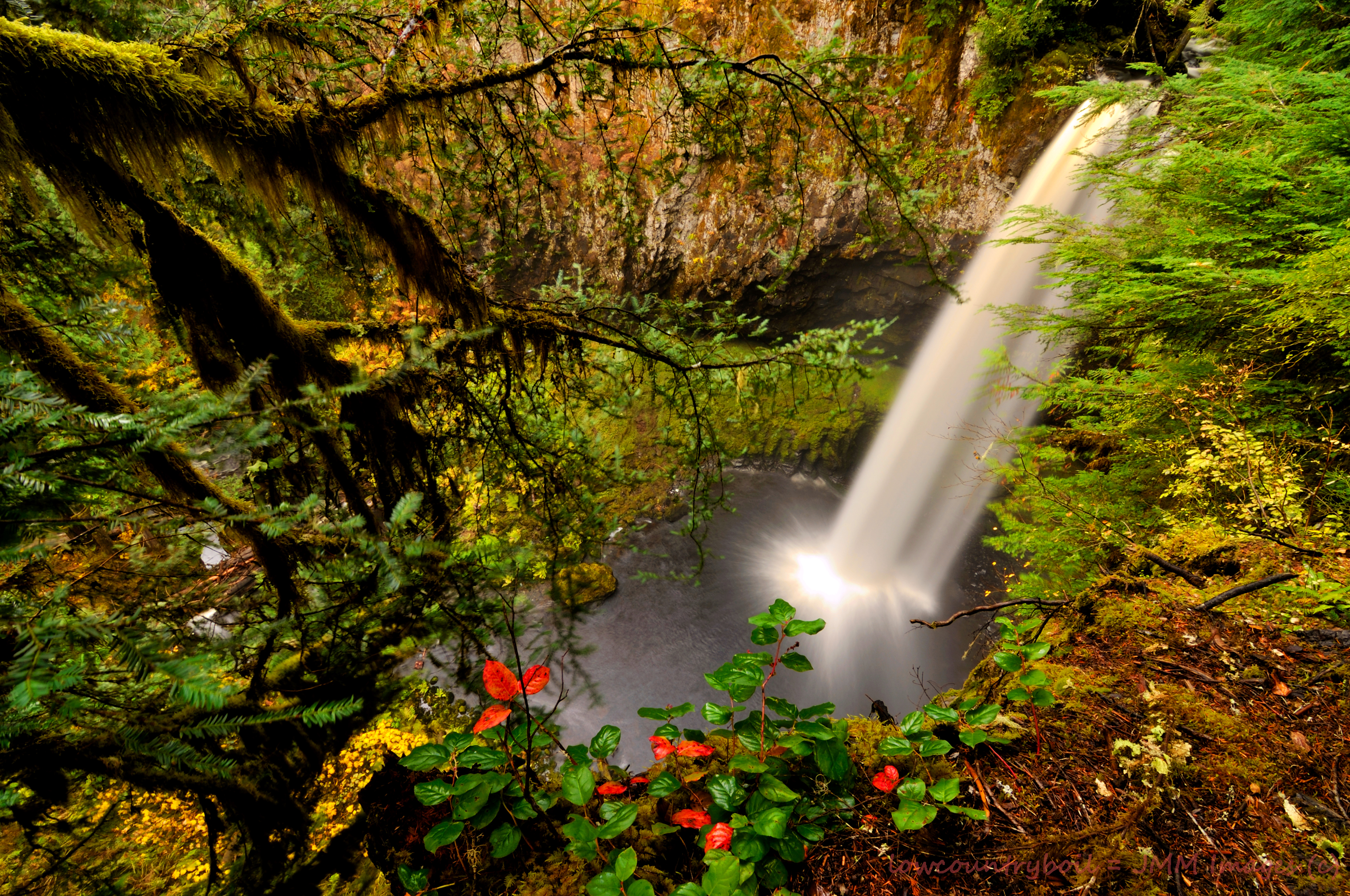 Скачать картинку Водопады, Водопад, Лес, Листва, Земля/природа в телефон бесплатно.