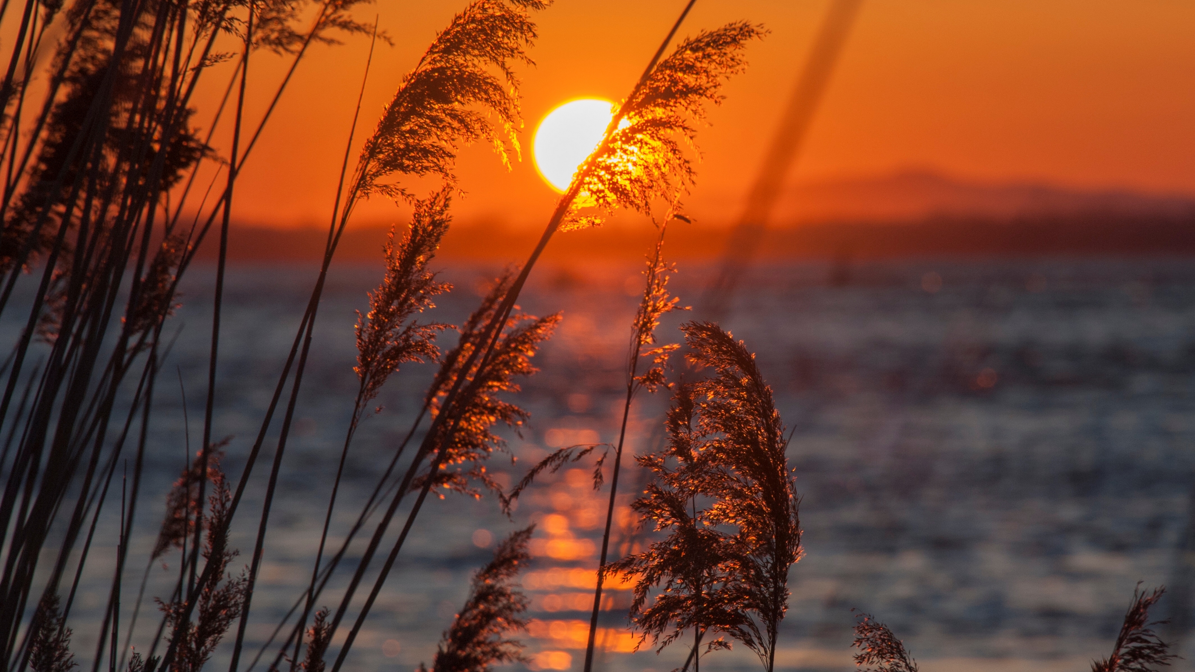 Laden Sie das Sonnenuntergang, Erde/natur-Bild kostenlos auf Ihren PC-Desktop herunter