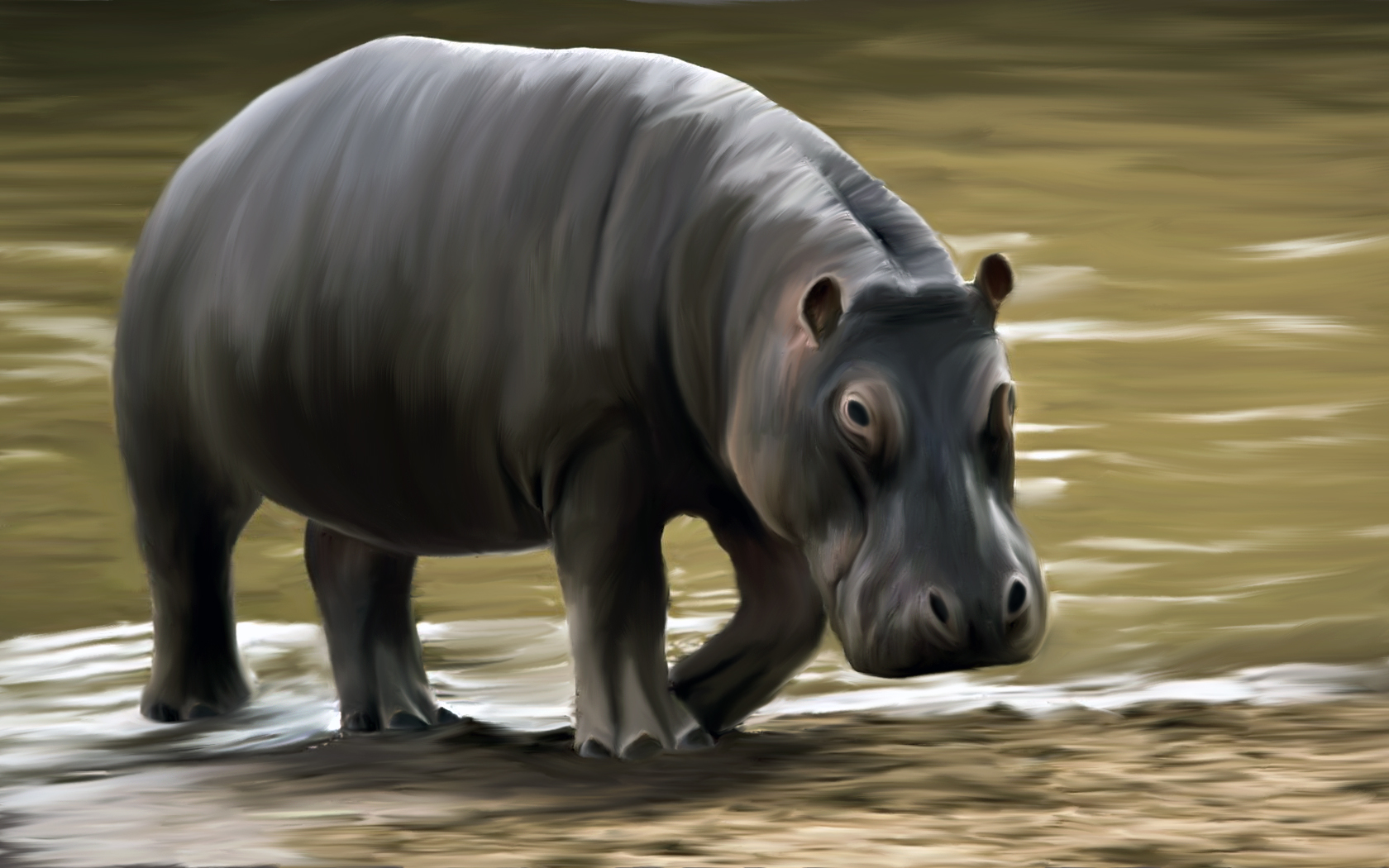 Baixar papel de parede para celular de Animais, Hipopótamo gratuito.