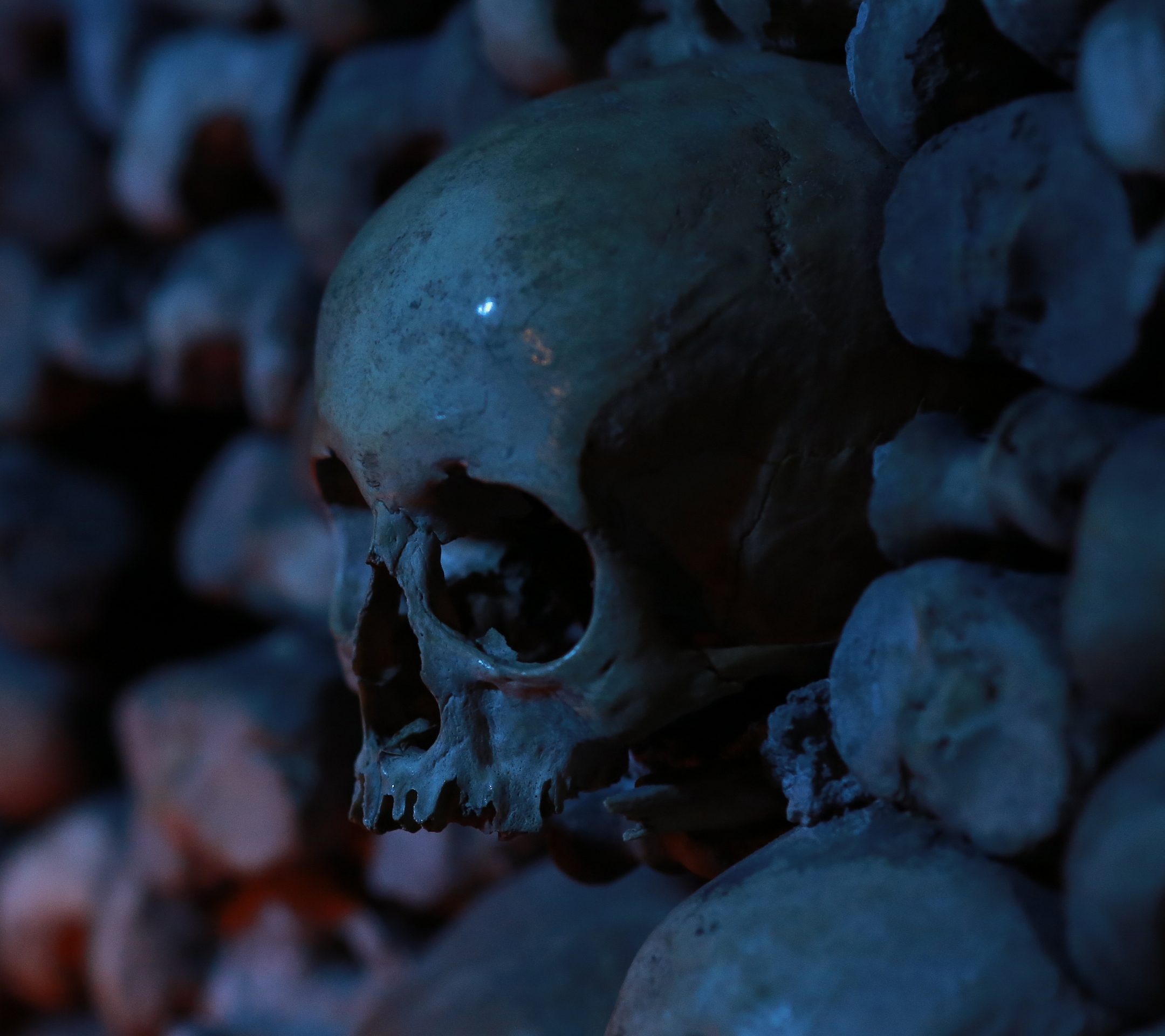 Free download wallpaper Dark, Skull on your PC desktop