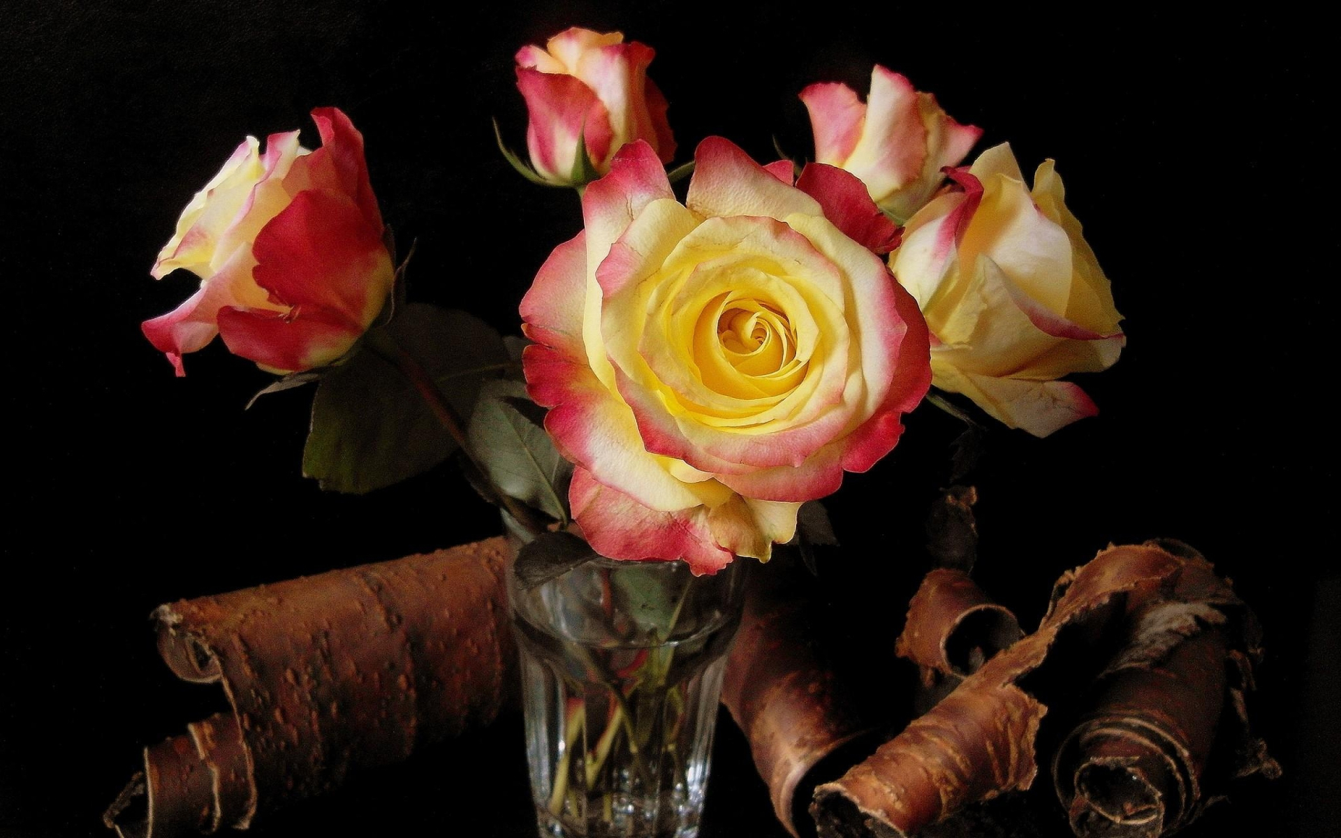 Téléchargez gratuitement l'image Rose, Fleur, Photographie, Fleur Rose, Nature Morte sur le bureau de votre PC