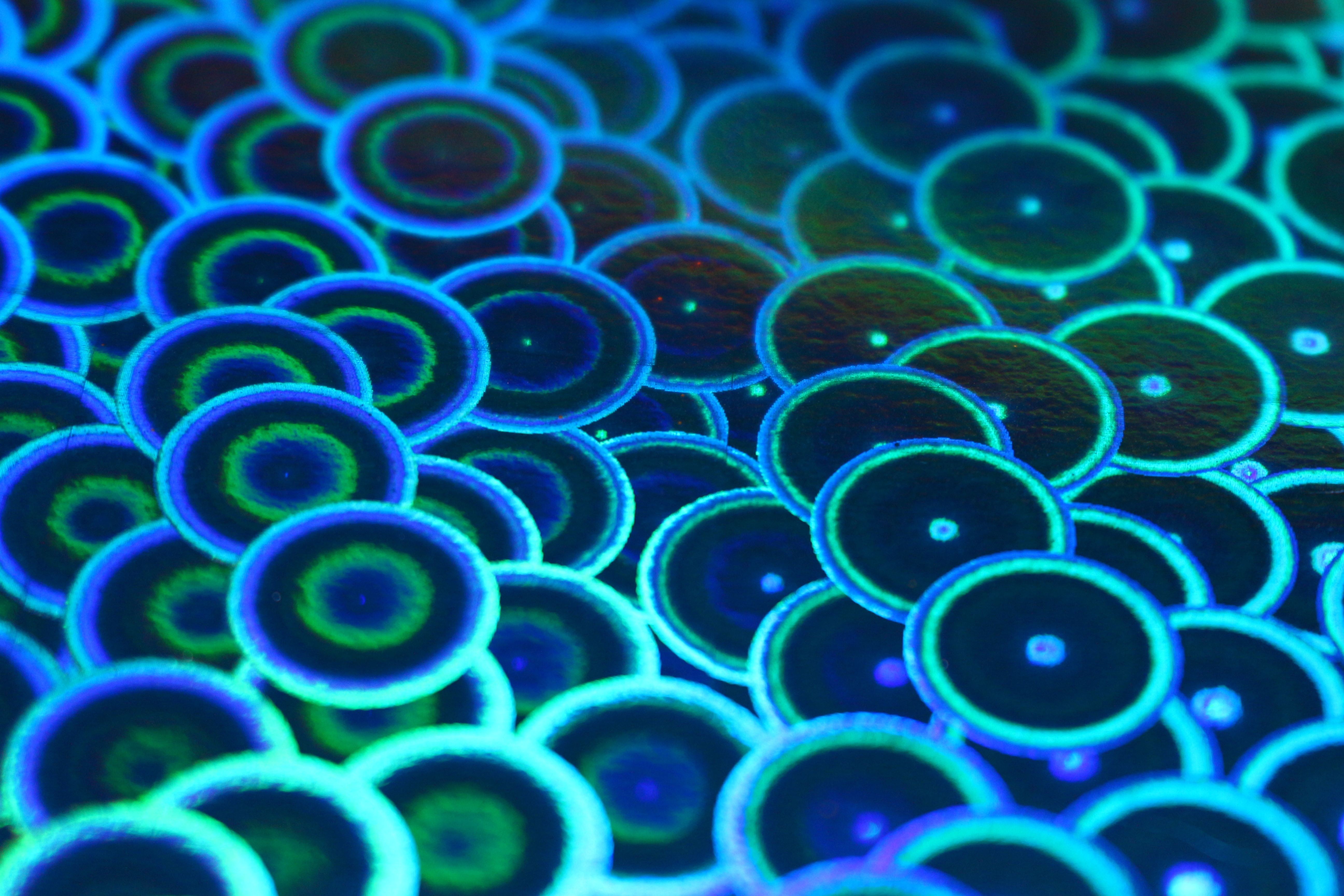 Free download wallpaper Abstract, Circle, Shapes on your PC desktop