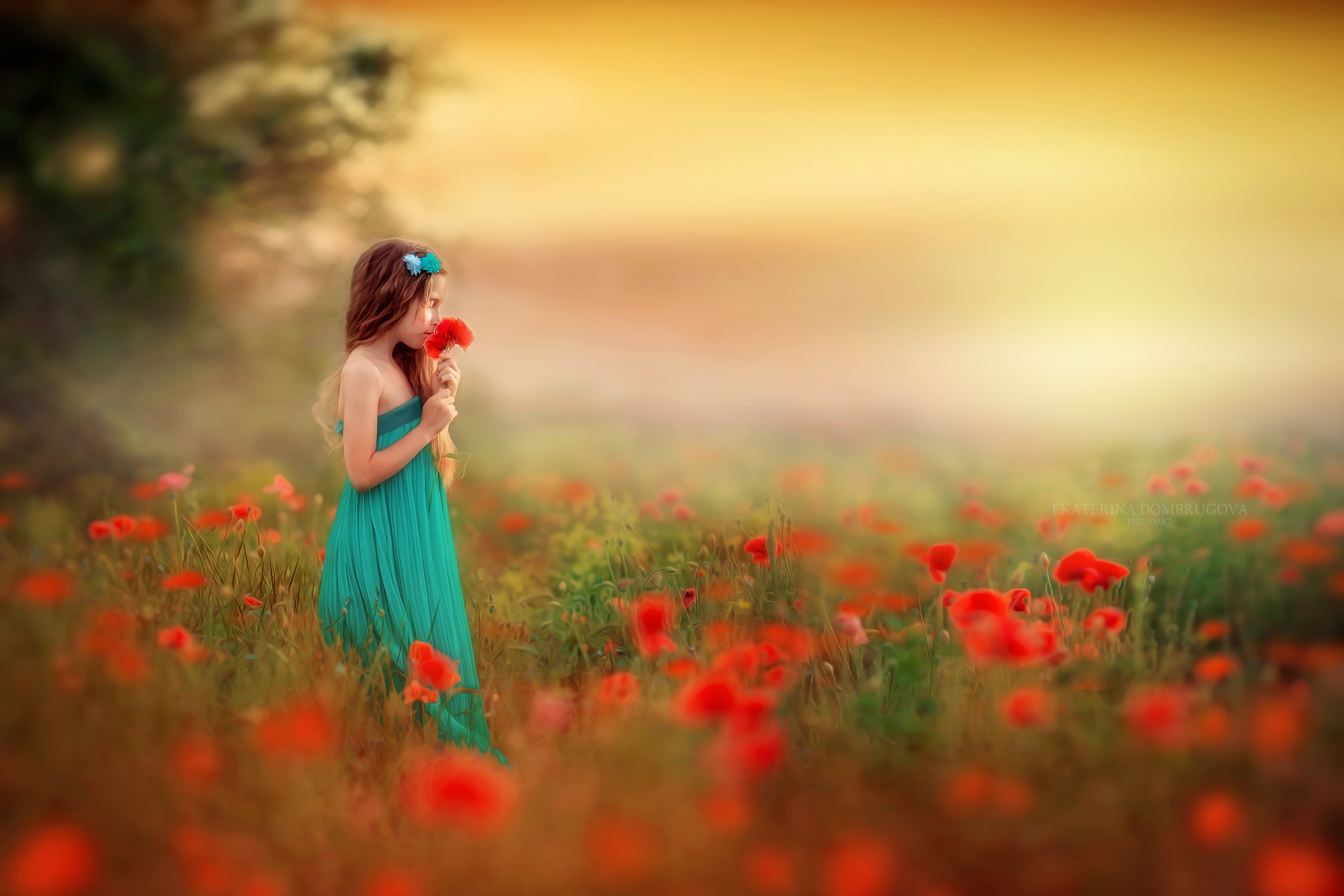 Download mobile wallpaper Summer, Child, Poppy, Dress, Photography, Red Flower, Depth Of Field for free.