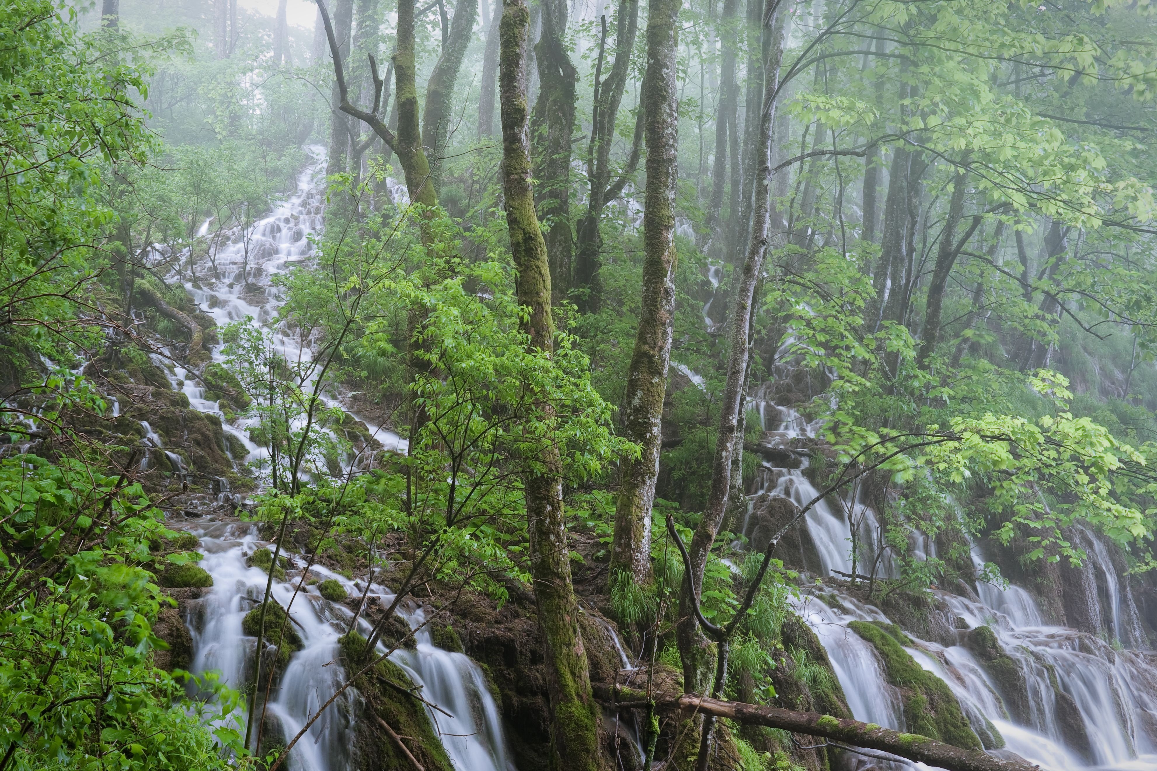 Laden Sie das Wasserfälle, Wasserfall, Wald, Baum, Strom, Erde/natur-Bild kostenlos auf Ihren PC-Desktop herunter