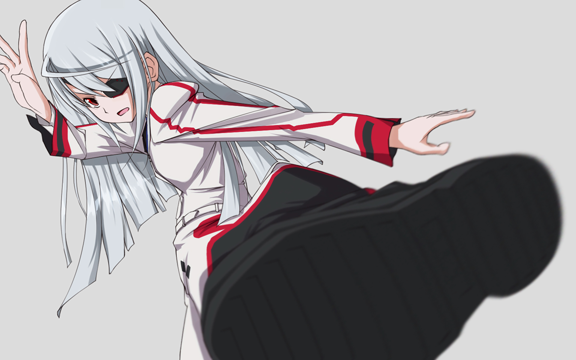 Panoramic Wallpapers Infinite Stratos 