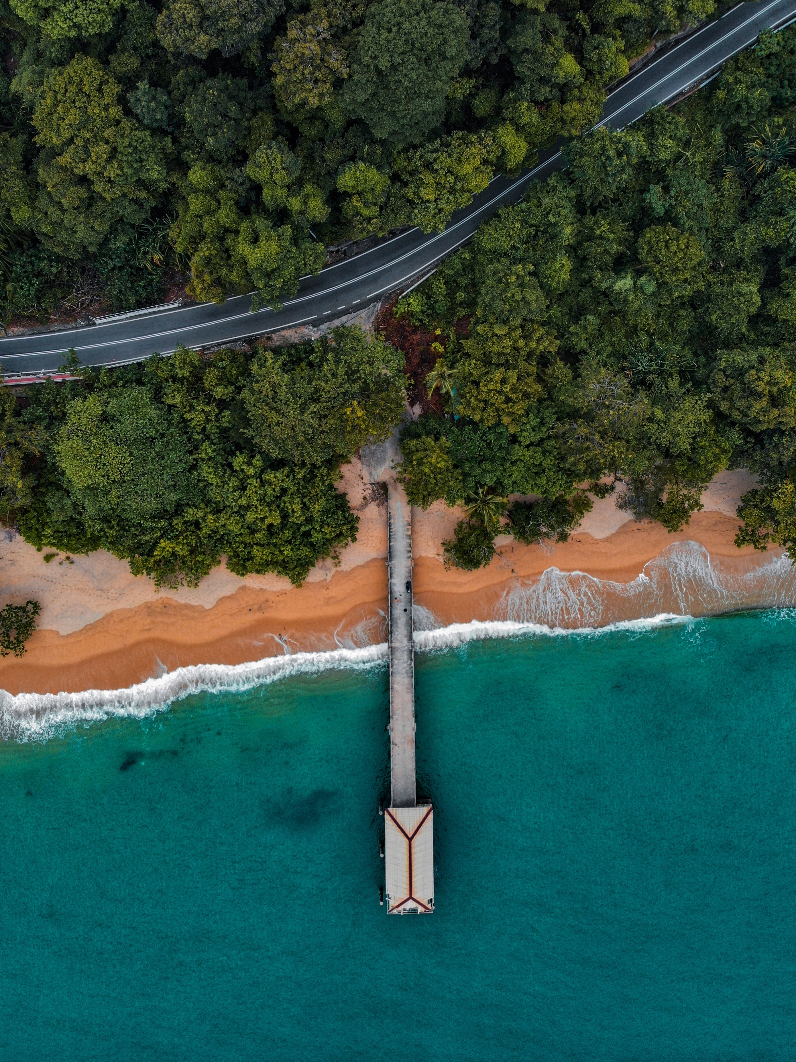 coast, nature, trees, view from above, pier, bungalow