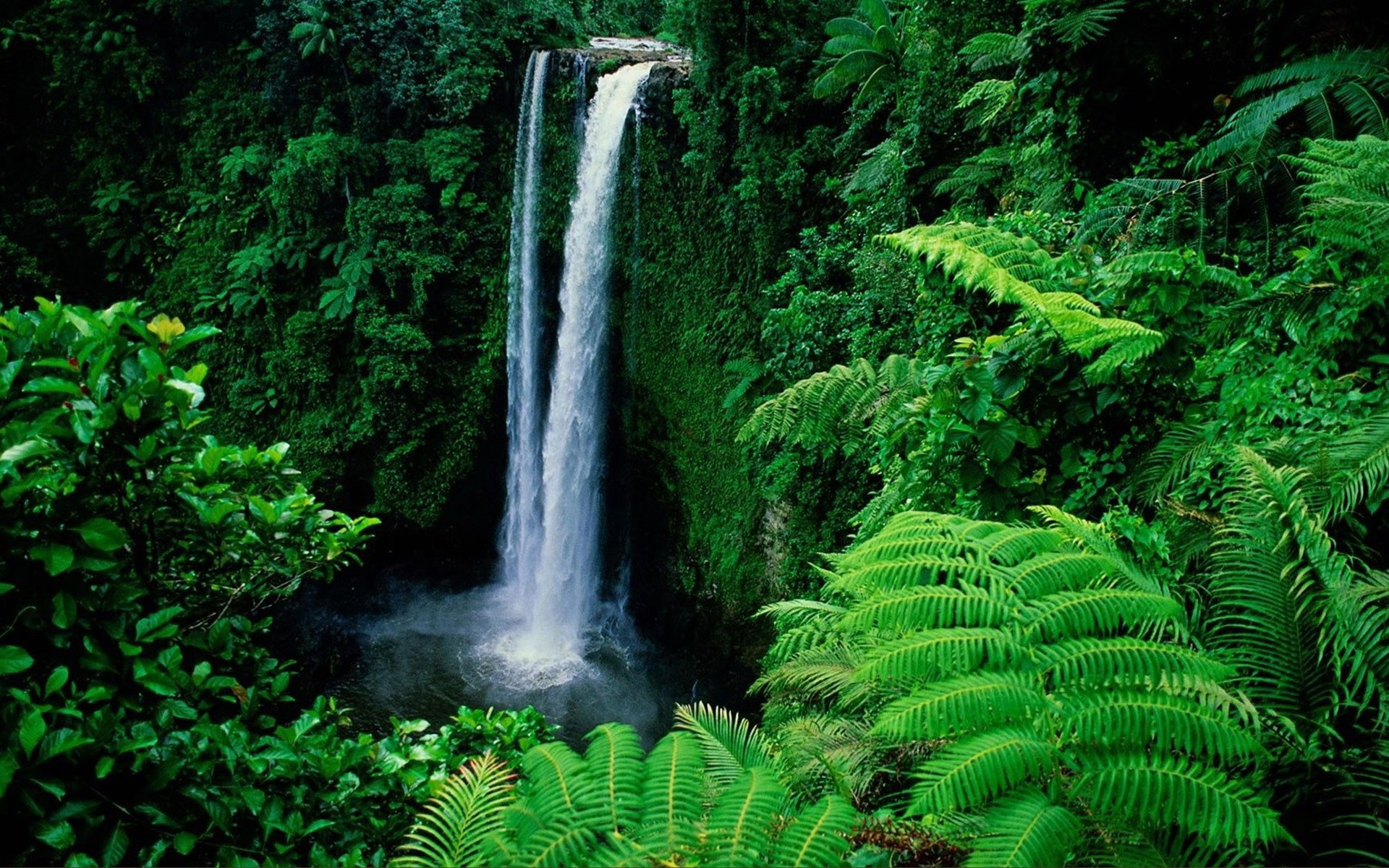 Download mobile wallpaper Waterfalls, Waterfall, Forest, Earth, Tropical for free.