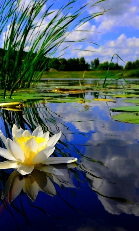 Descarga gratuita de fondo de pantalla para móvil de Lagos, Lago, Tierra/naturaleza.