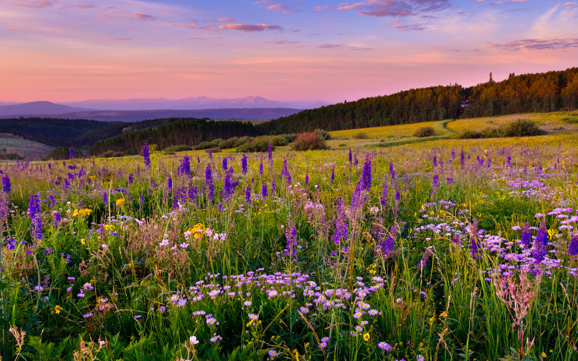 Free download wallpaper Landscape, Earth on your PC desktop