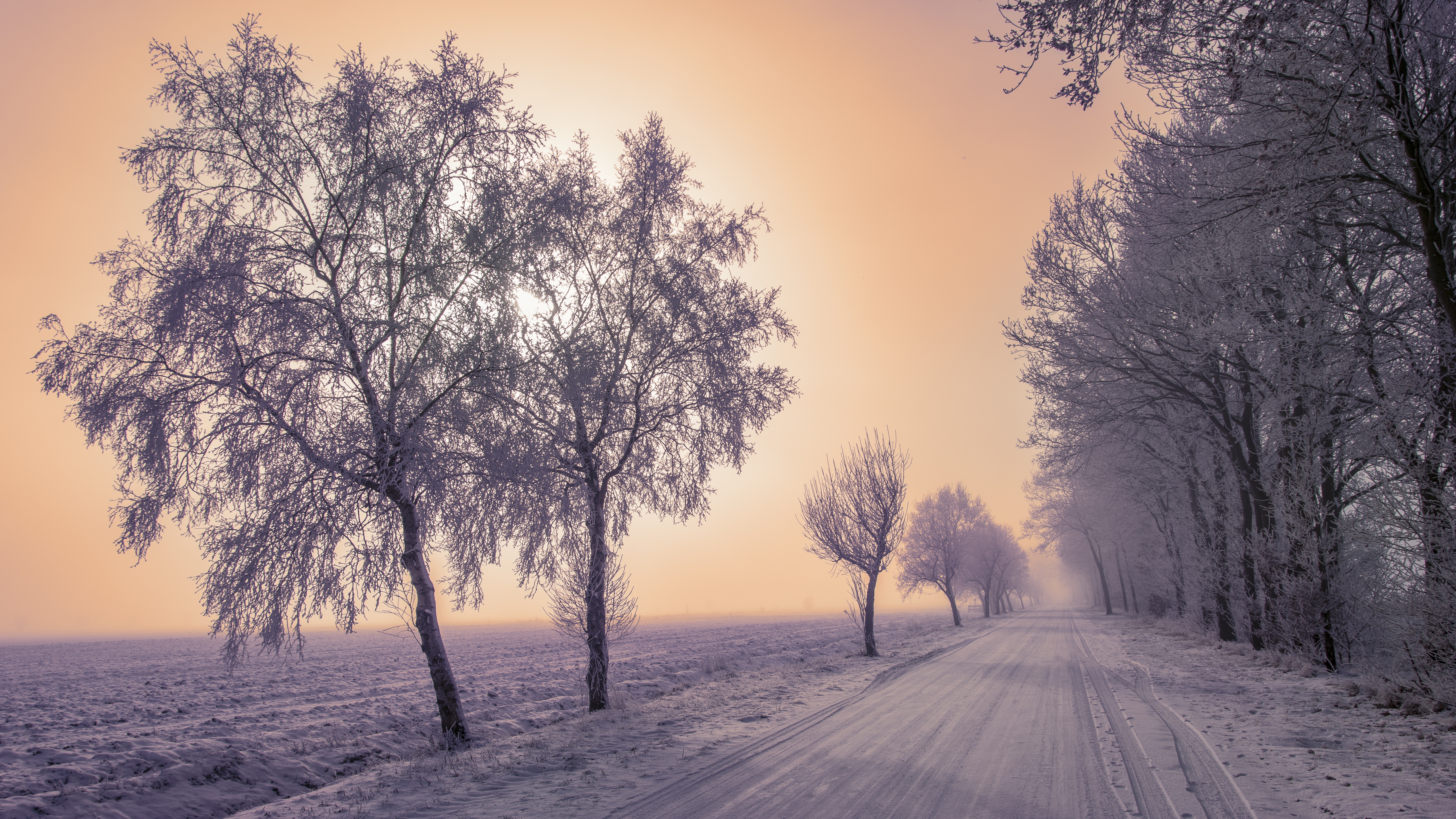 Скачать картинку Туман, Снег, Зима, Деревья, Природа, Дорога в телефон бесплатно.