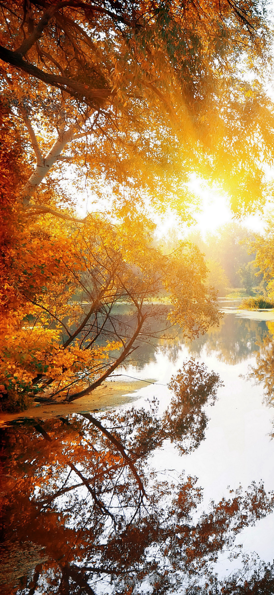Download mobile wallpaper Nature, Reflection, Fall, Earth, Sunshine for free.