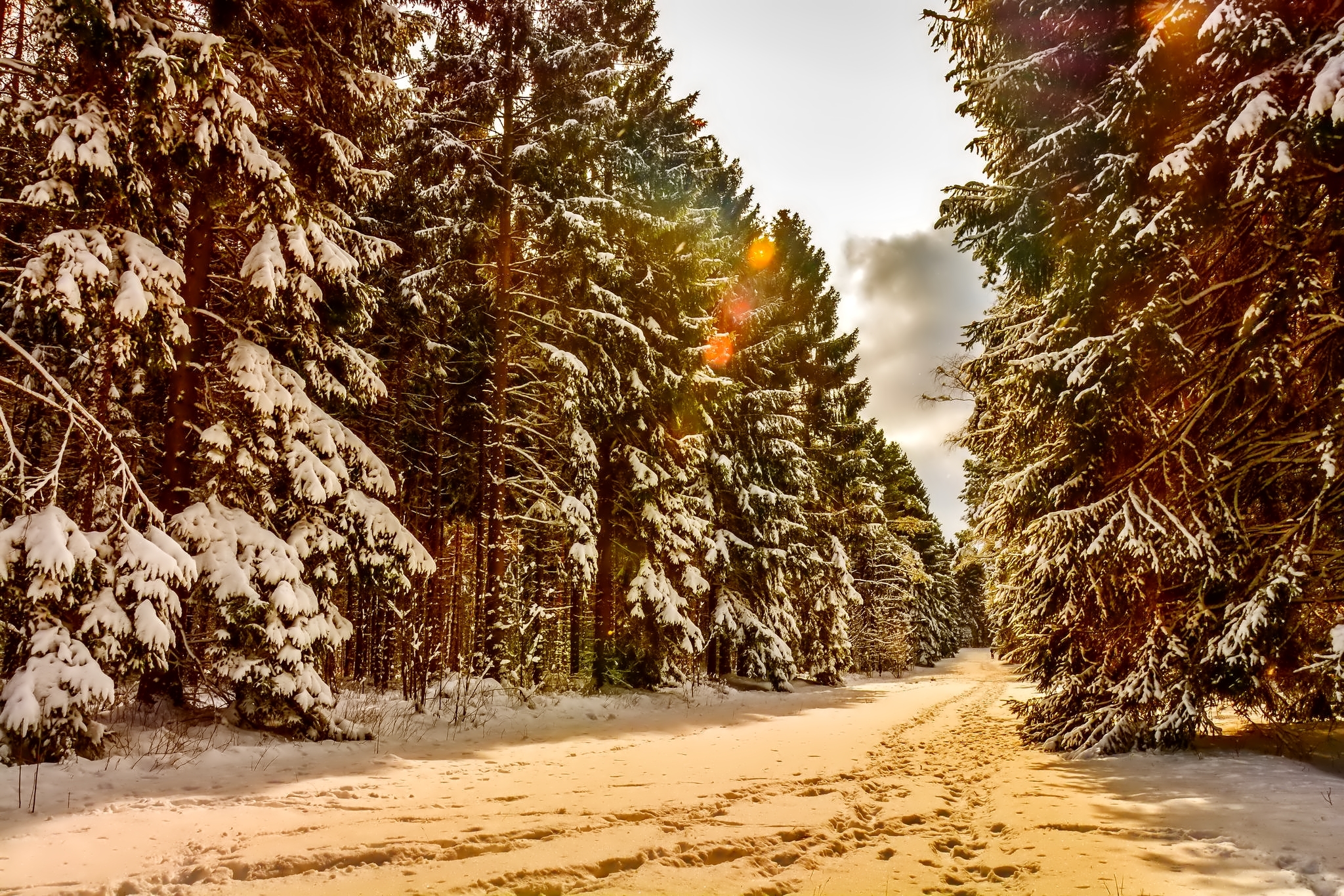 Скачать обои бесплатно Зима, Снег, Дорога, Дерево, Земля/природа картинка на рабочий стол ПК