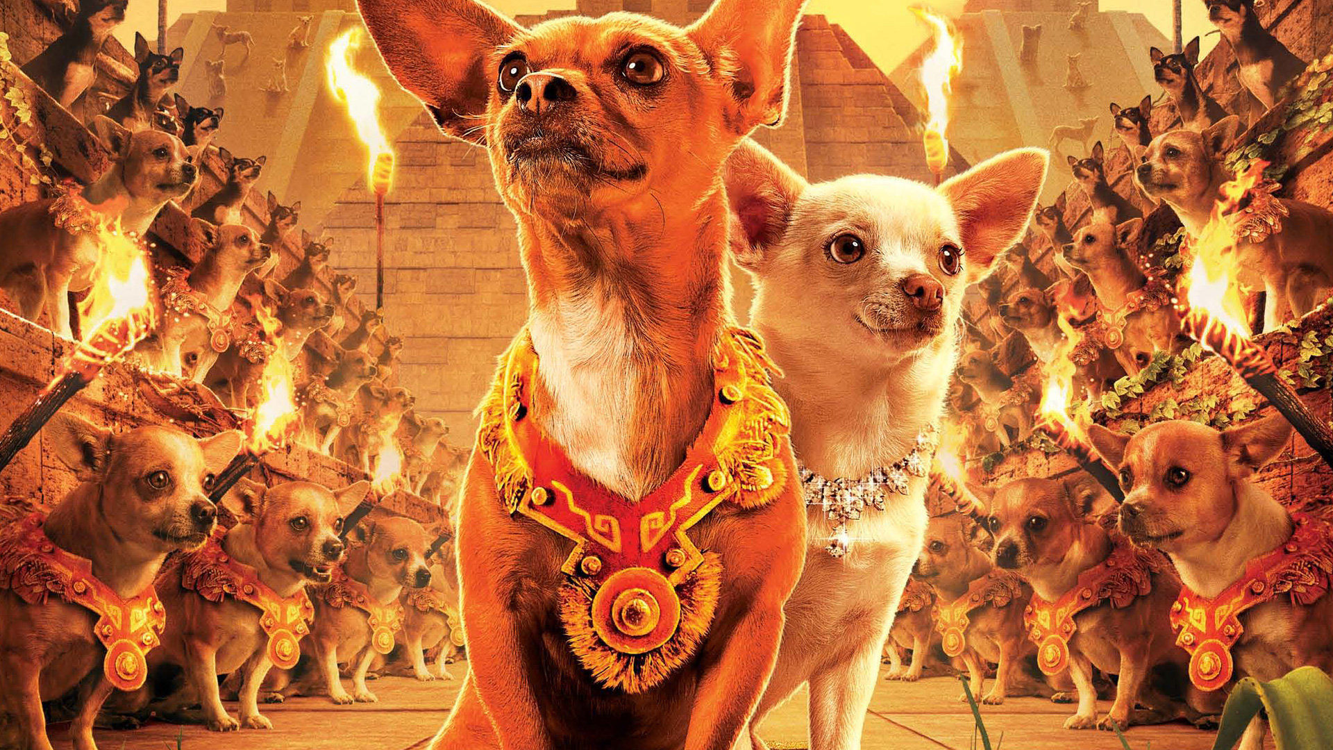 Best Beverly Hills Chihuahua Horizontal Wallpapers
