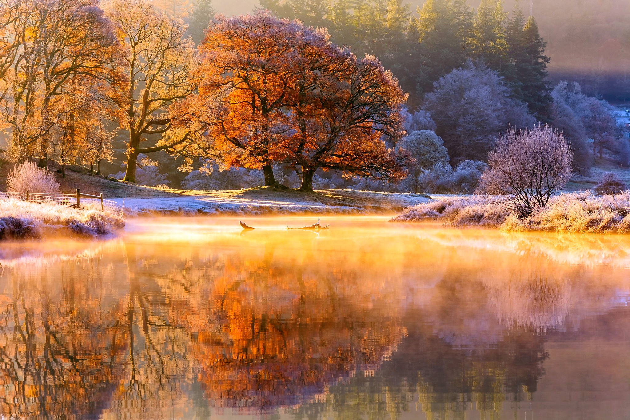 Baixe gratuitamente a imagem Natureza, Outono, Lago, Árvore, Terra/natureza, Reflecção na área de trabalho do seu PC