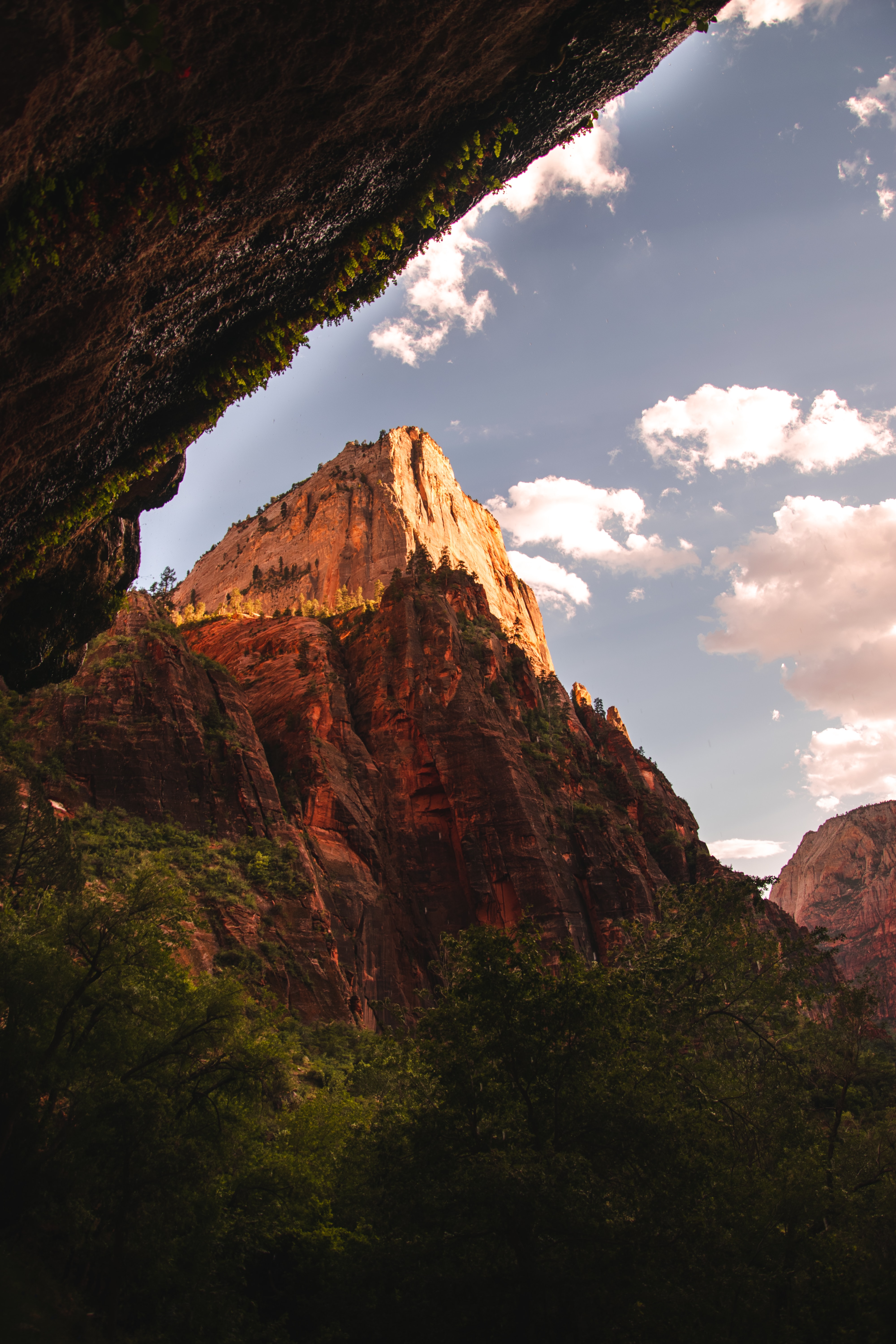 Descarga gratuita de fondo de pantalla para móvil de Naturaleza, Árboles, Montañas, Roca, Cueva.