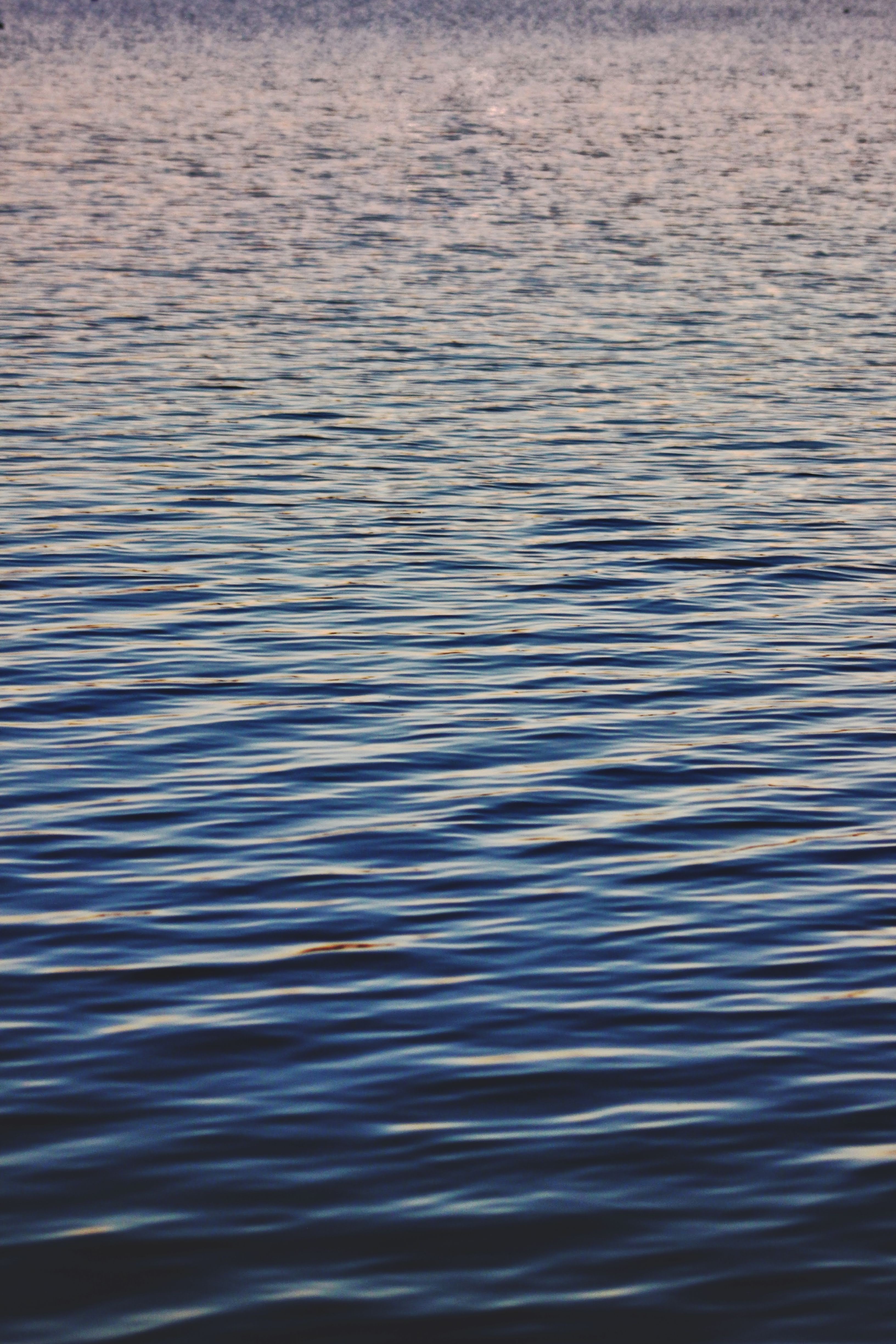 nature, water, waves, ripples, ripple, surface