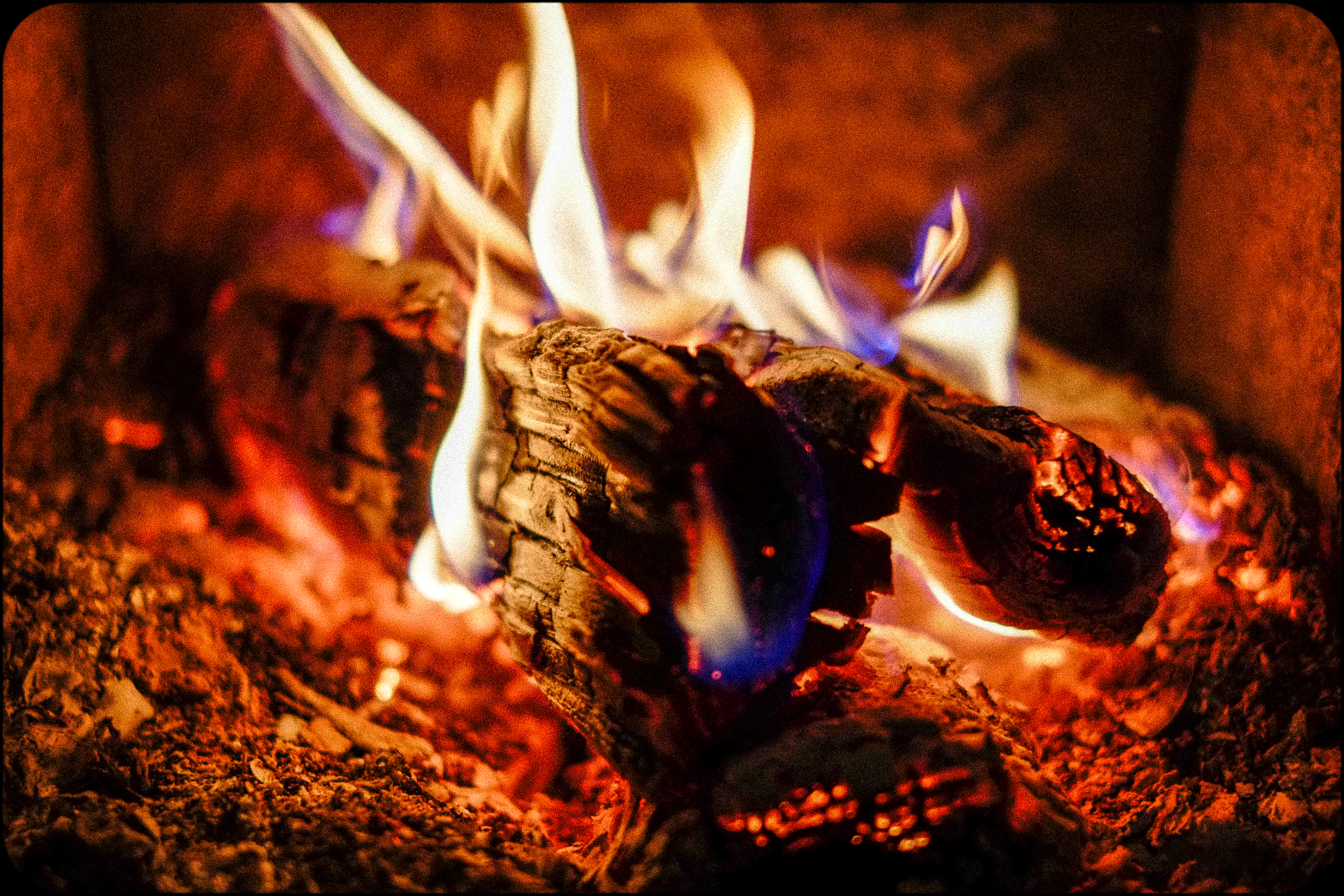 bonfire, coals, flame, miscellanea, miscellaneous, firewood, ash