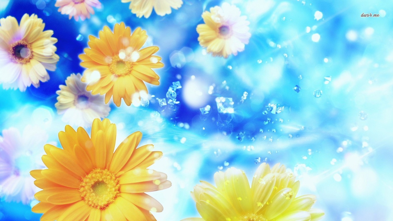 Free download wallpaper Flower, Artistic, Daisy on your PC desktop