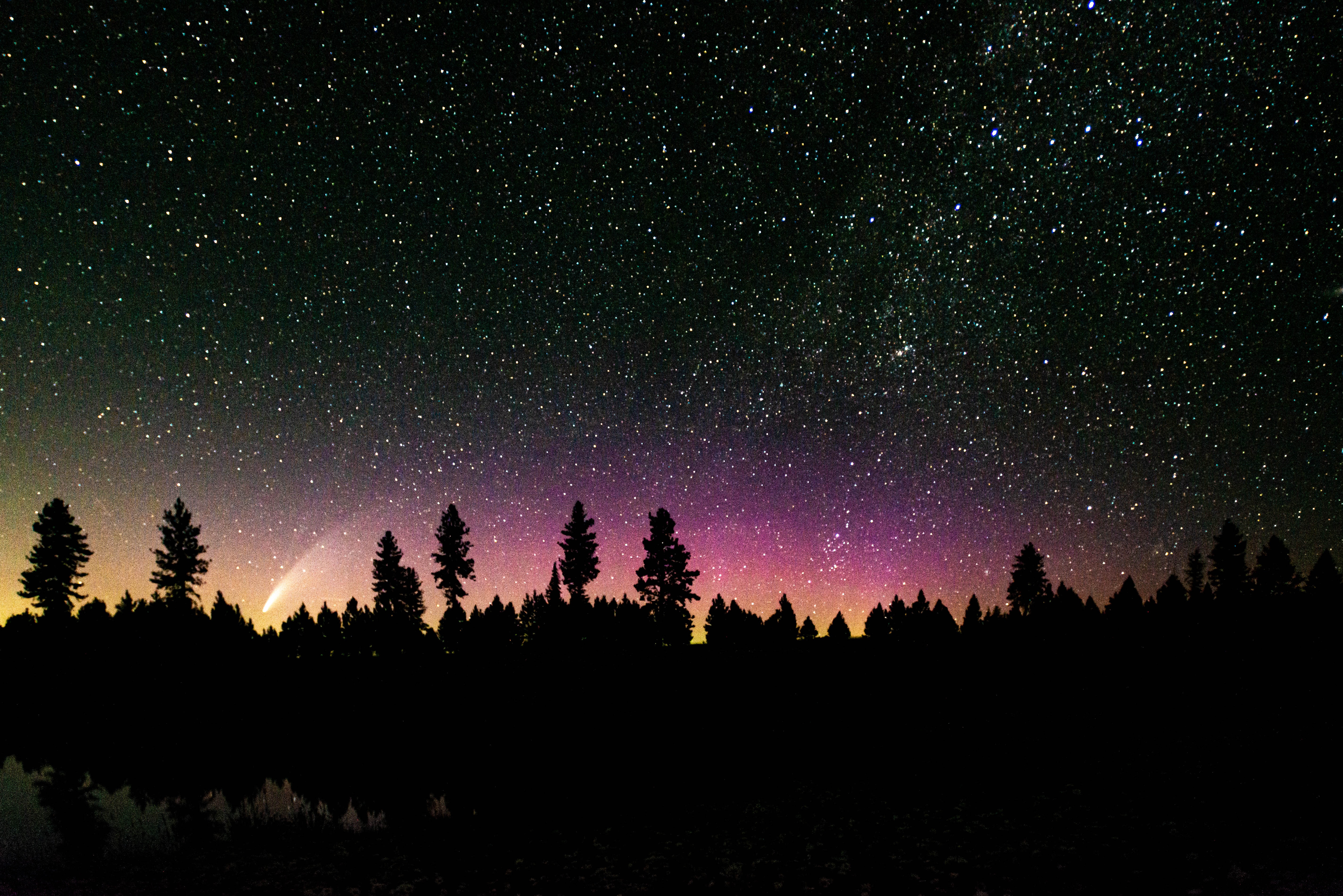 Free download wallpaper Trees, Stars, Starry Sky, Night, Dark, Silhouette on your PC desktop