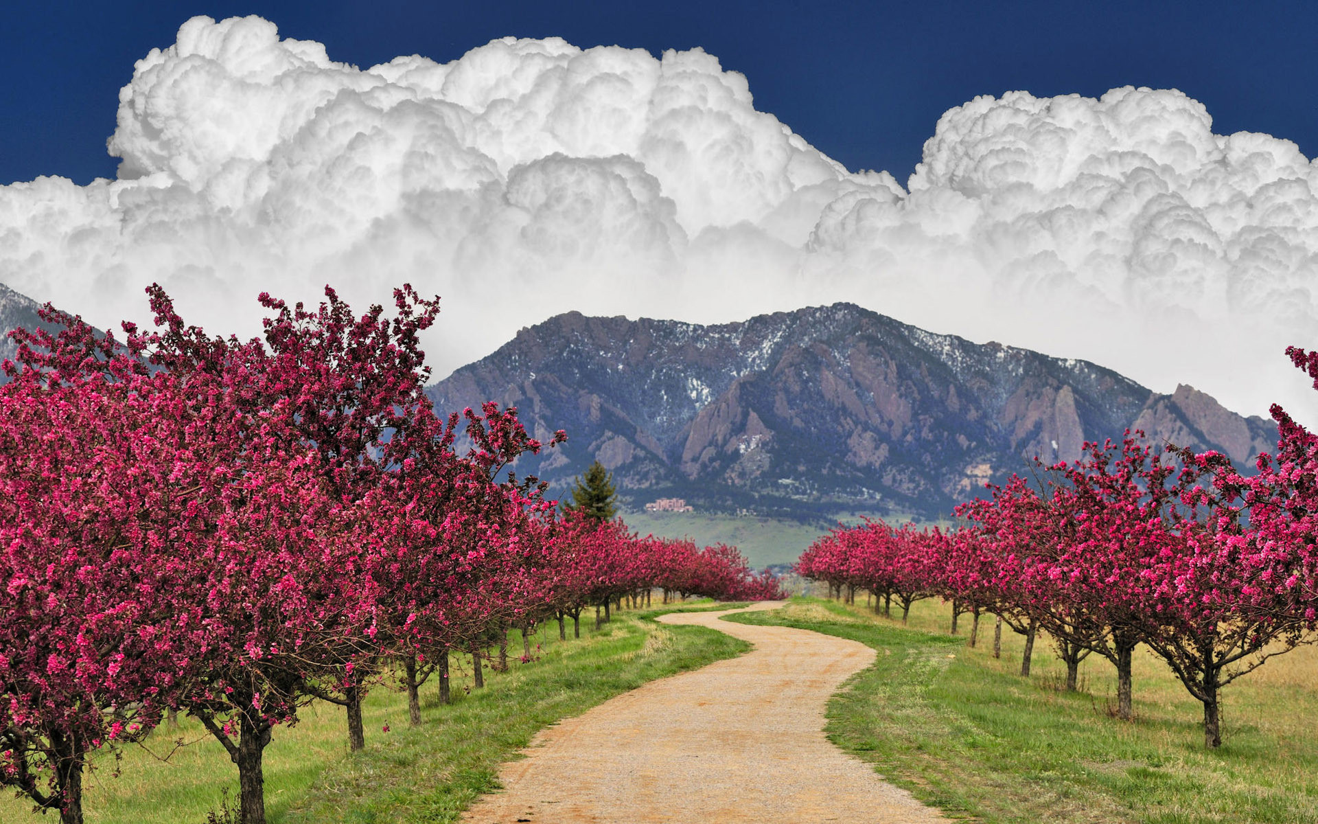 Free download wallpaper Landscape, Trees, Roads, Clouds, Mountains on your PC desktop