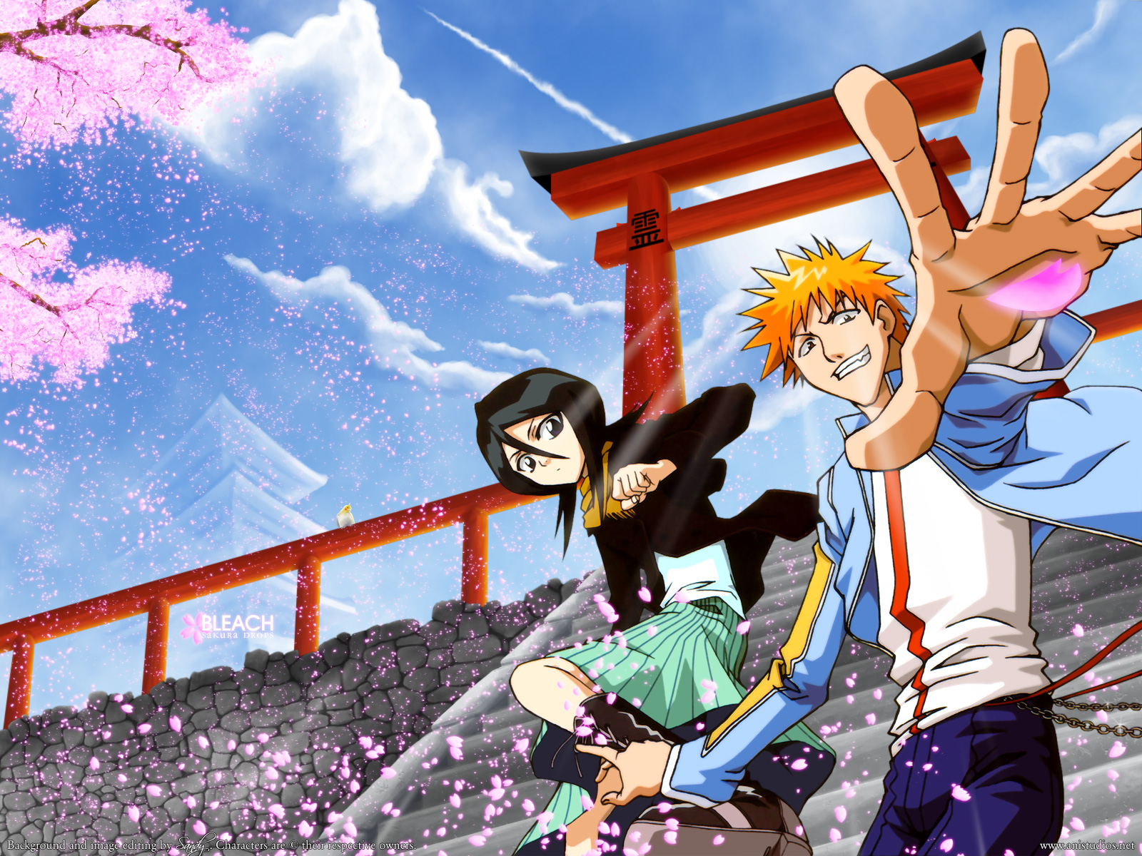 Free download wallpaper Anime, Bleach, Rukia Kuchiki, Ichigo Kurosaki on your PC desktop