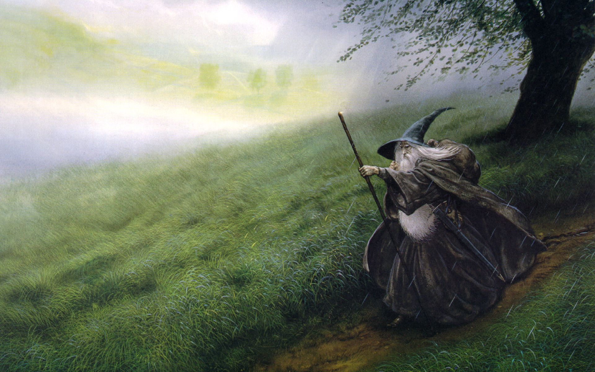 the lord of the rings, fantasy, lord of the rings, grass, hair, hat, rain, wizard