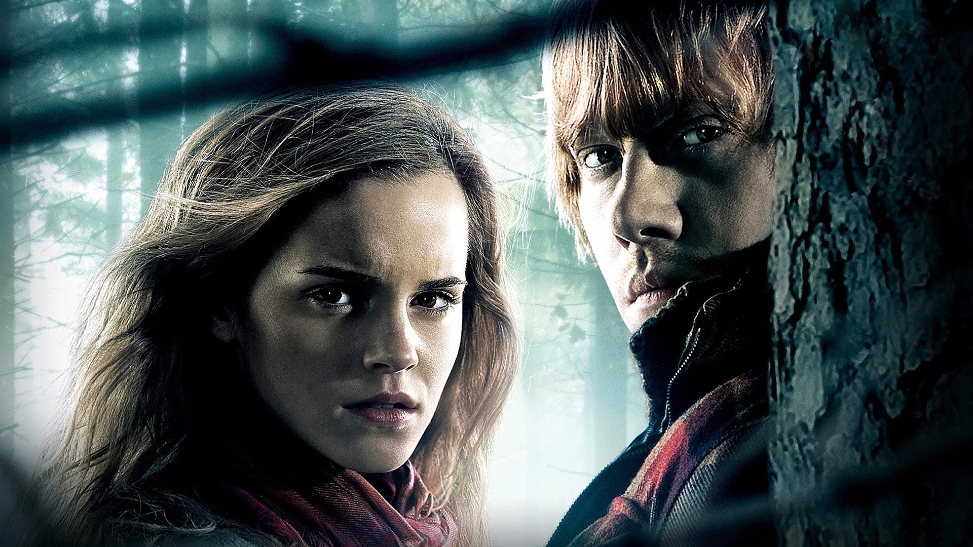 harry potter, movie, harry potter and the deathly hallows: part 1, emma watson, hermione granger, ron weasley, rupert grint