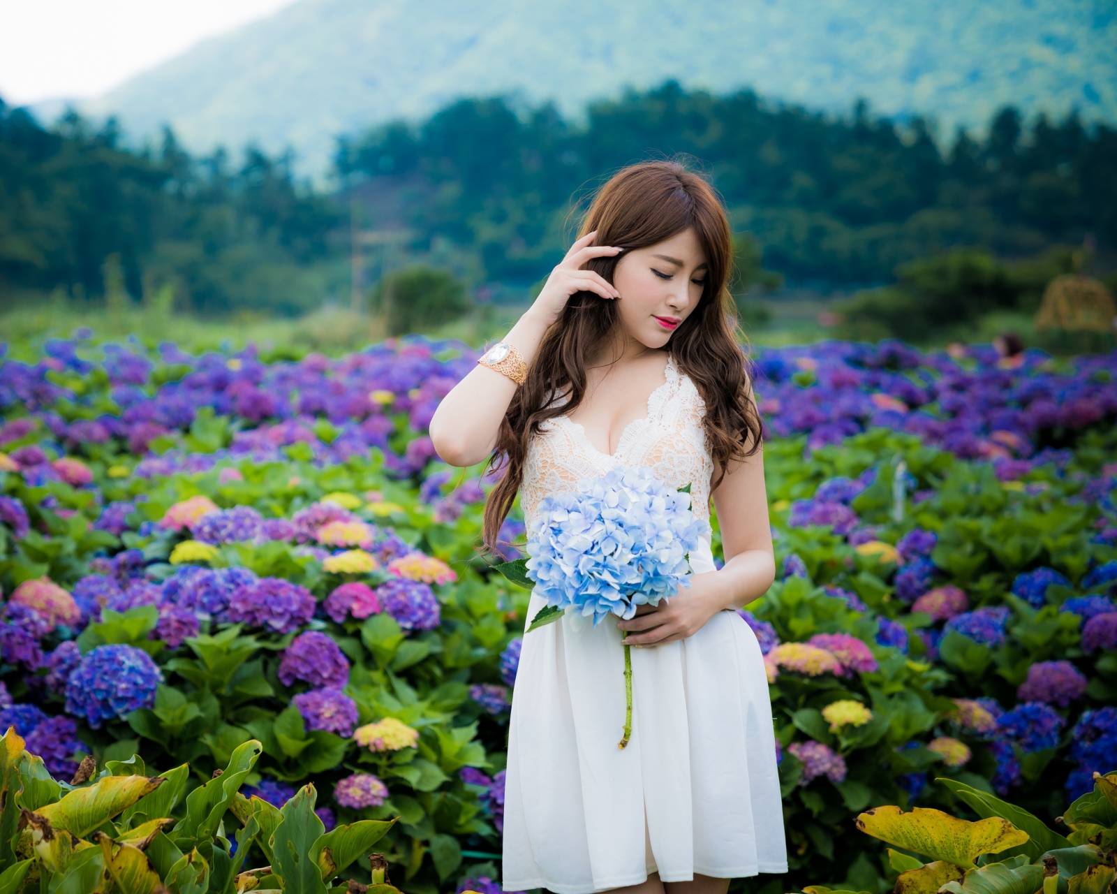 無料モバイル壁紙花, ムード, あじさい, ブルネット, モデル, 女性, アジア人, 青い花, 口紅, 紫色の花, 被写界深度, ホワイトドレスをダウンロードします。