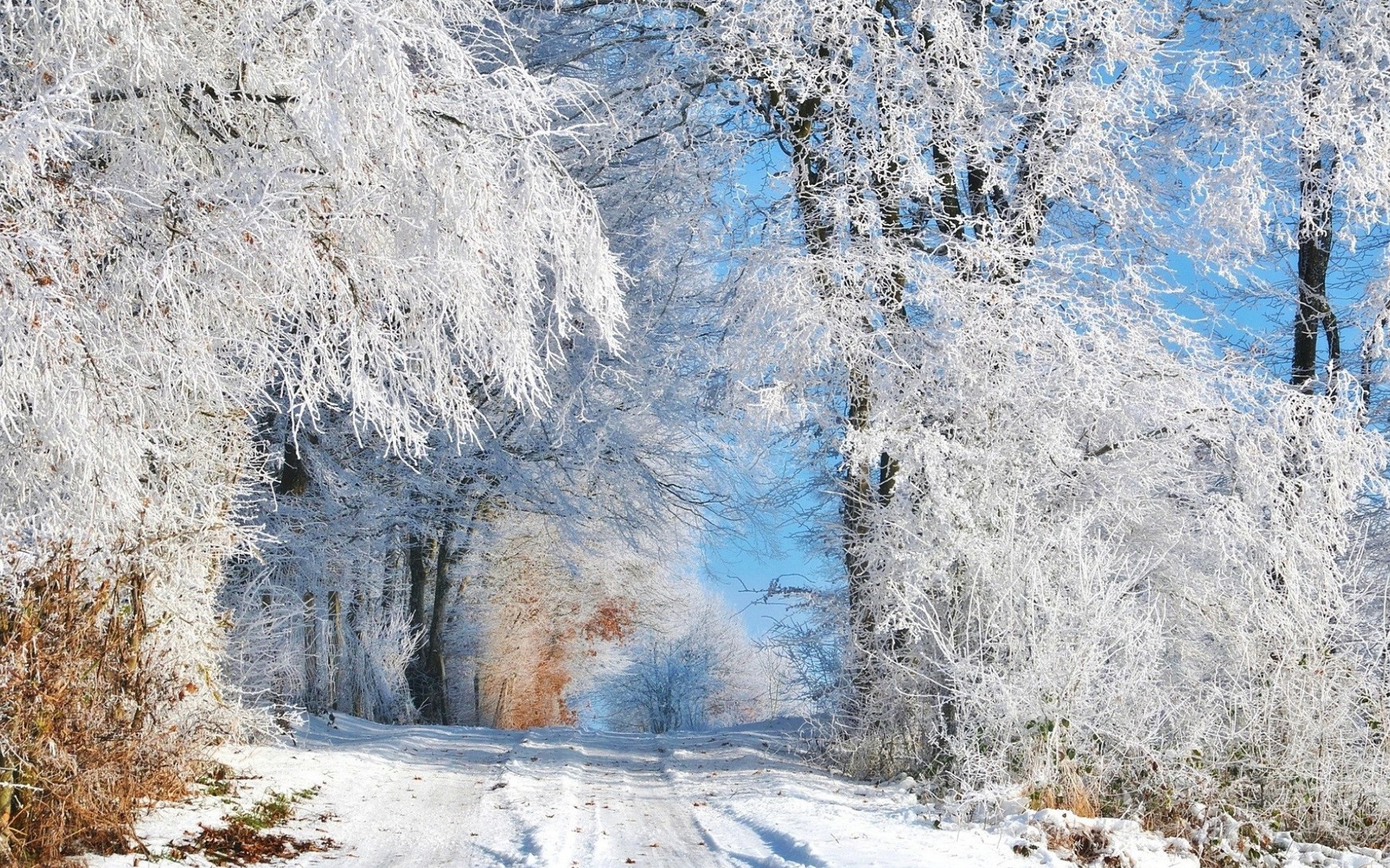 Скачать картинку Зима, Дорога, Земля/природа в телефон бесплатно.