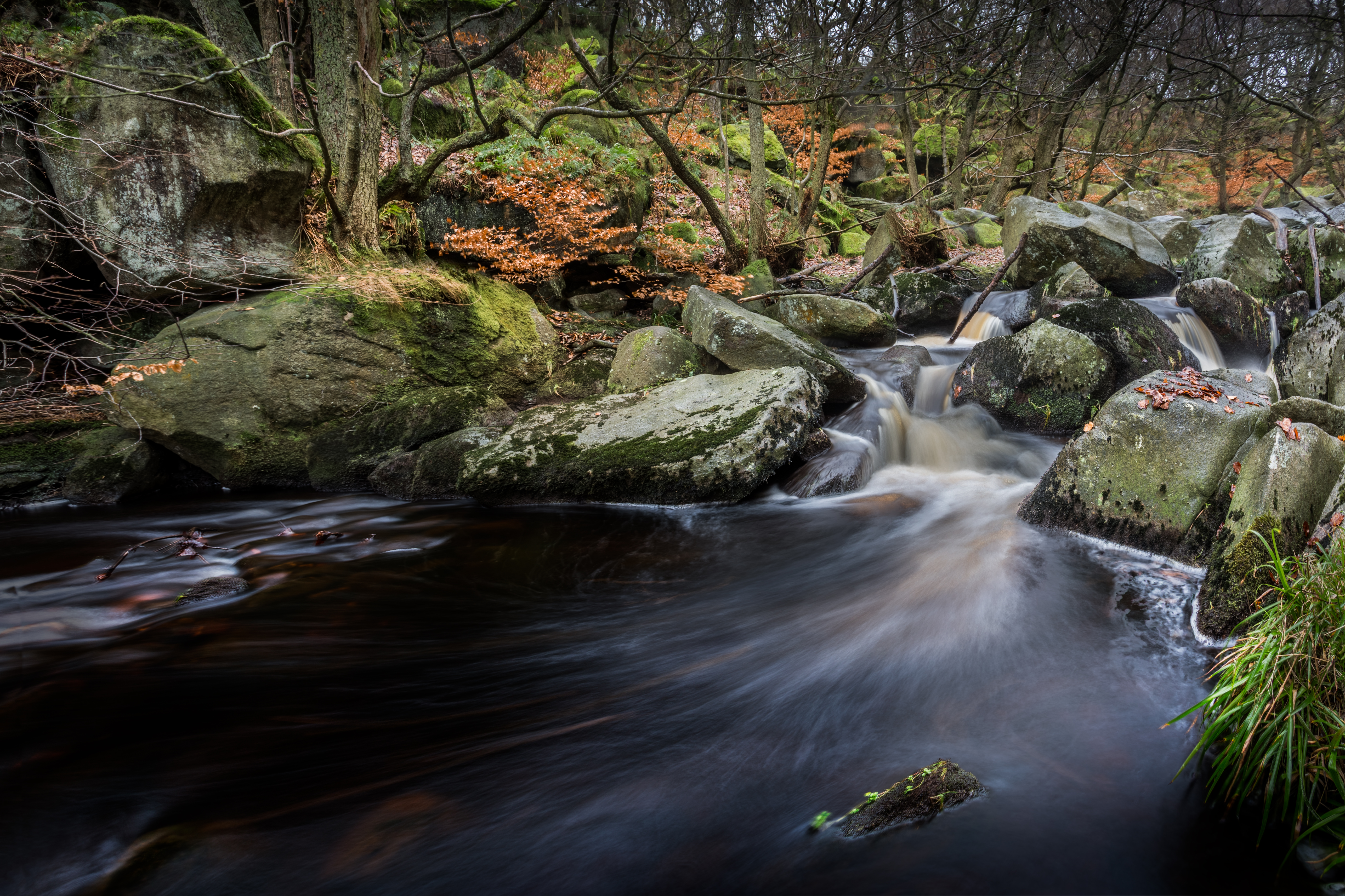 Handy-Wallpaper Natur, Wald, Strom, Erde/natur kostenlos herunterladen.