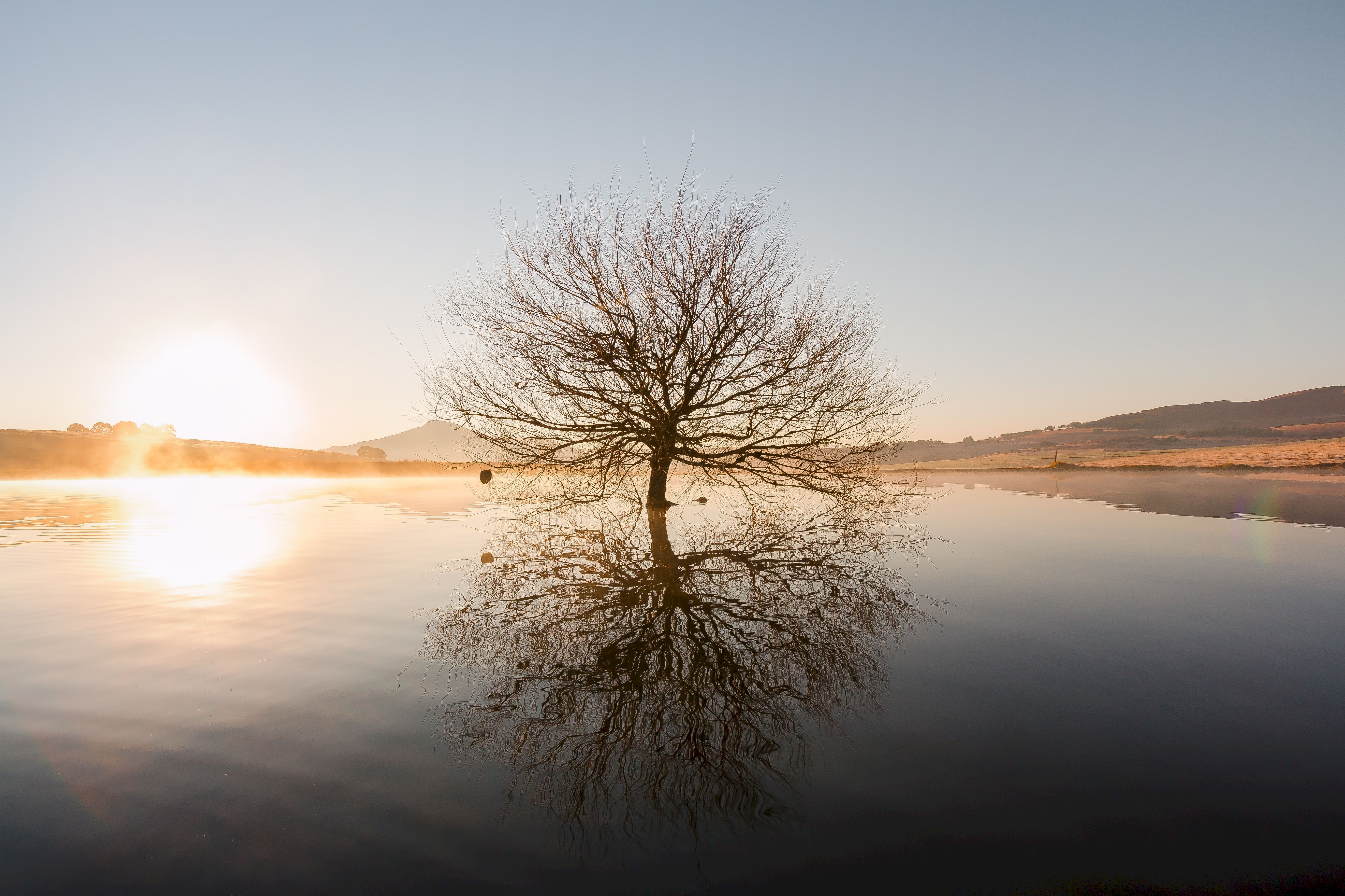 Free download wallpaper Nature, Water, Sunset, Horizon, Tree, Branches, Wood on your PC desktop