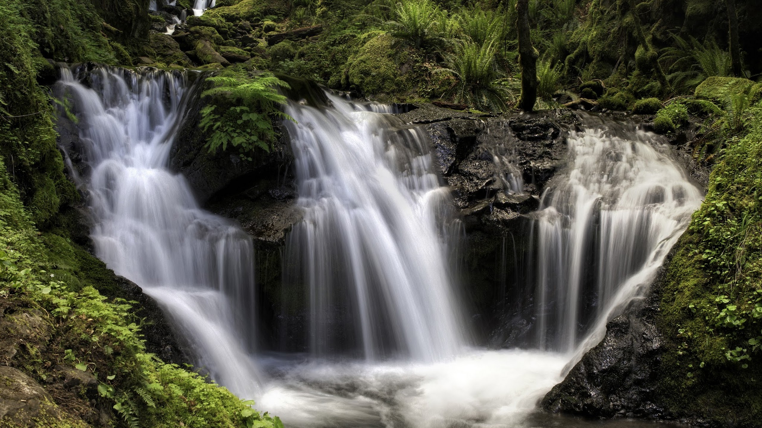 Téléchargez gratuitement l'image Cascades, Forêt, Arbre, Terre/nature, Chûte D'eau sur le bureau de votre PC