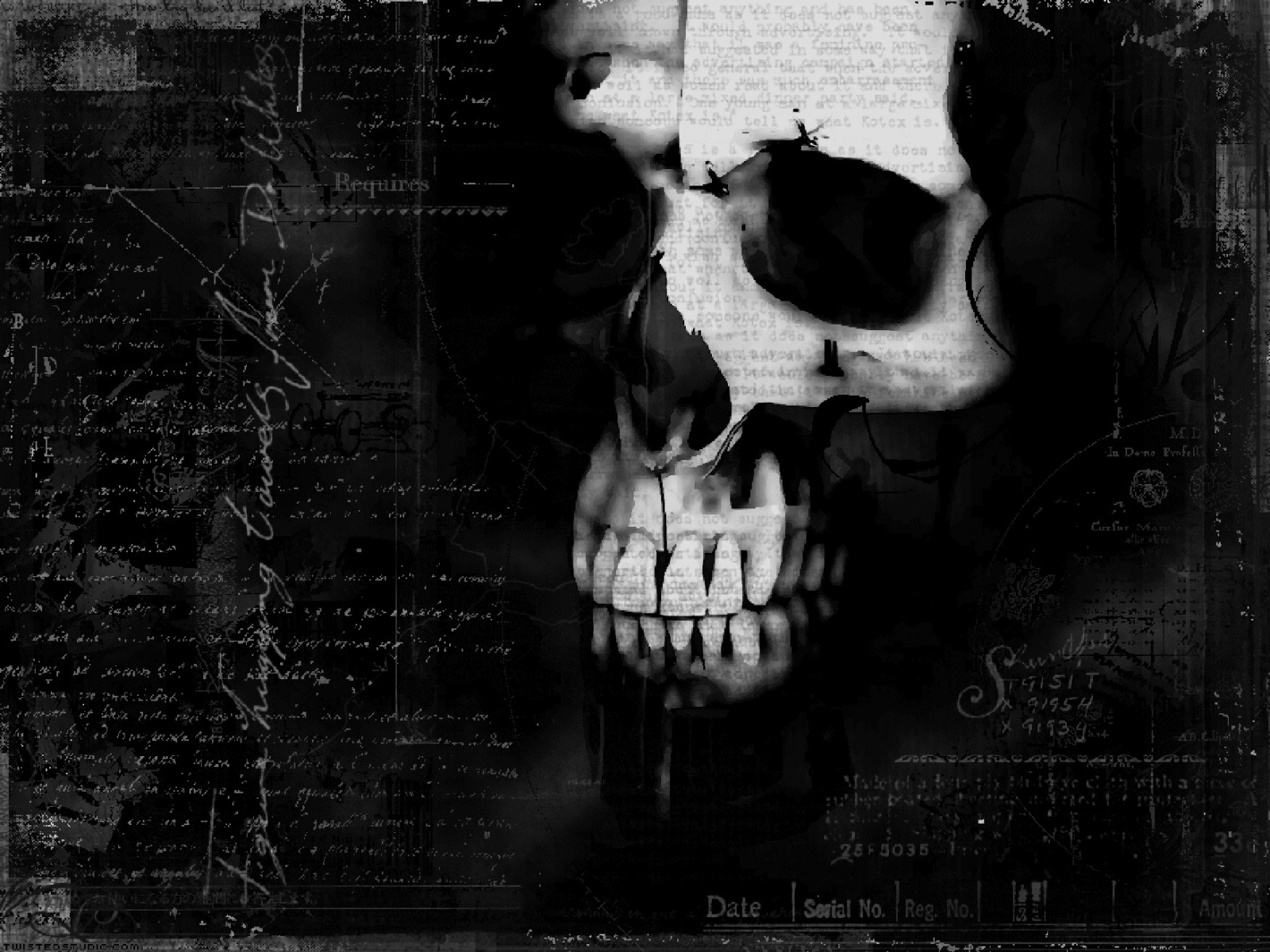 Free download wallpaper Dark, Skull, Horror, Scary on your PC desktop