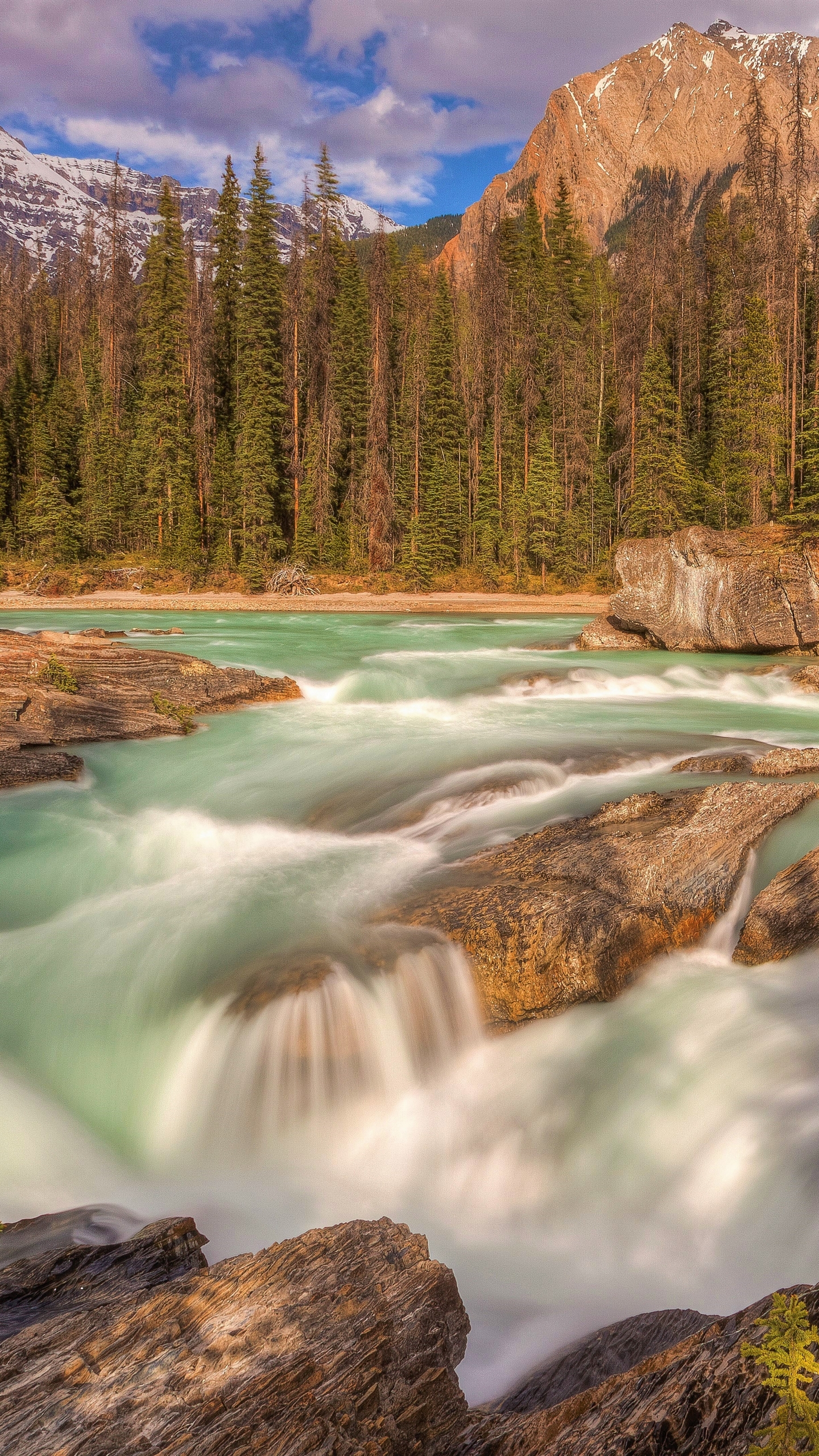 Descarga gratuita de fondo de pantalla para móvil de Rio, Cascada, Bosque, Tierra/naturaleza.