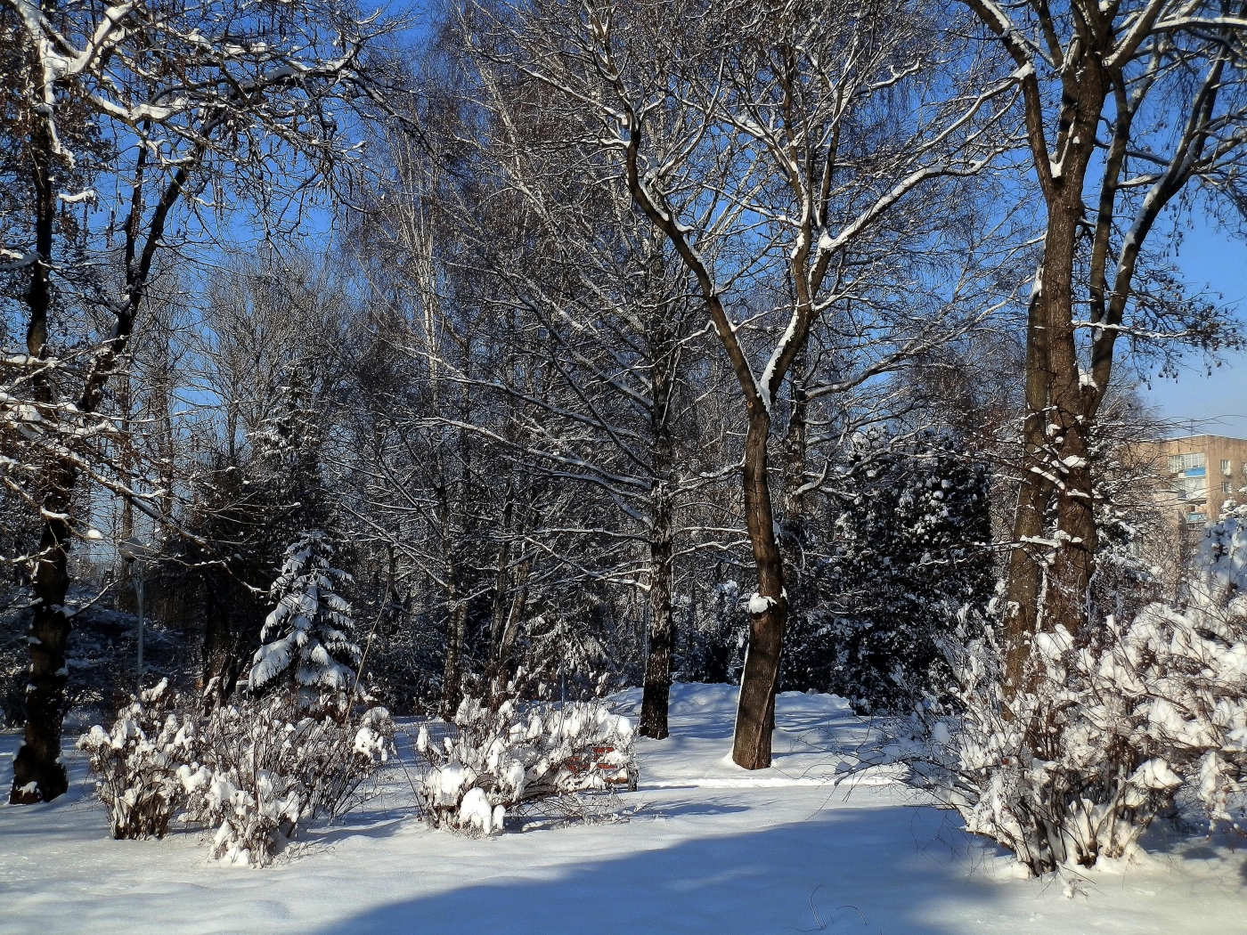 Скачать обои бесплатно Снег, Деревья, Пейзаж картинка на рабочий стол ПК