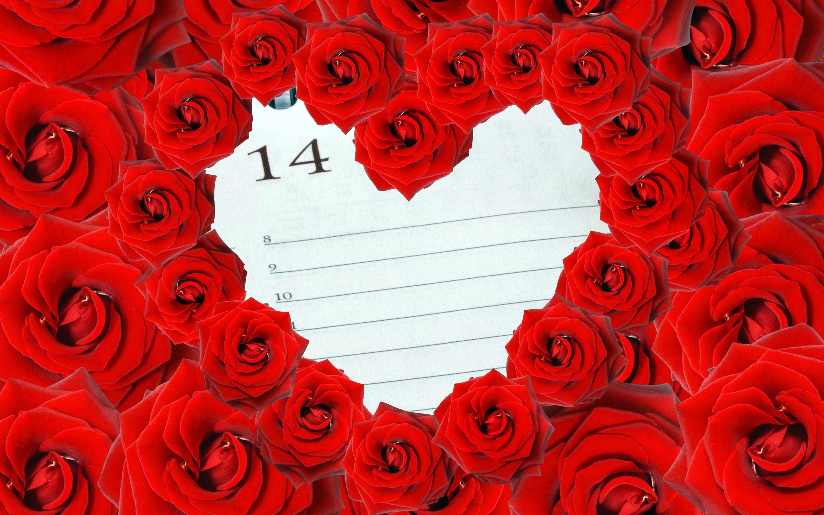 672014壁紙のダウンロードホリデー, バレンタイン・デー, 花, 赤い花, 赤いバラ, 薔薇-スクリーンセーバーと写真を無料で