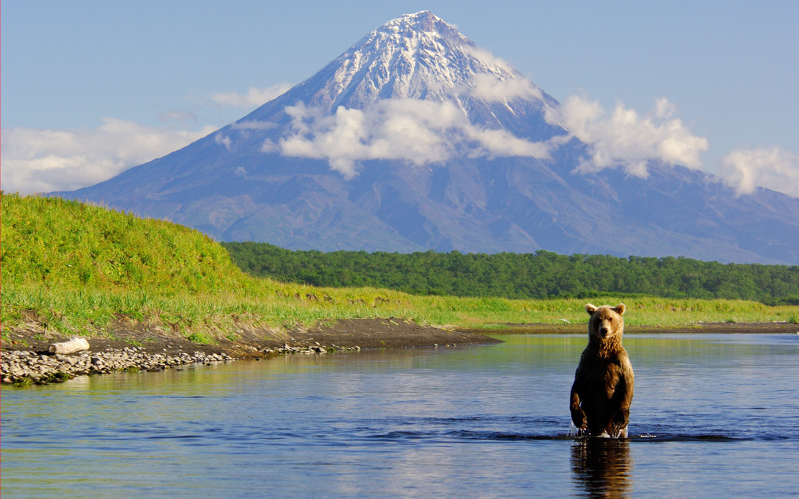 Free download wallpaper Animals, Landscape, Rivers, Mountains, Bears on your PC desktop