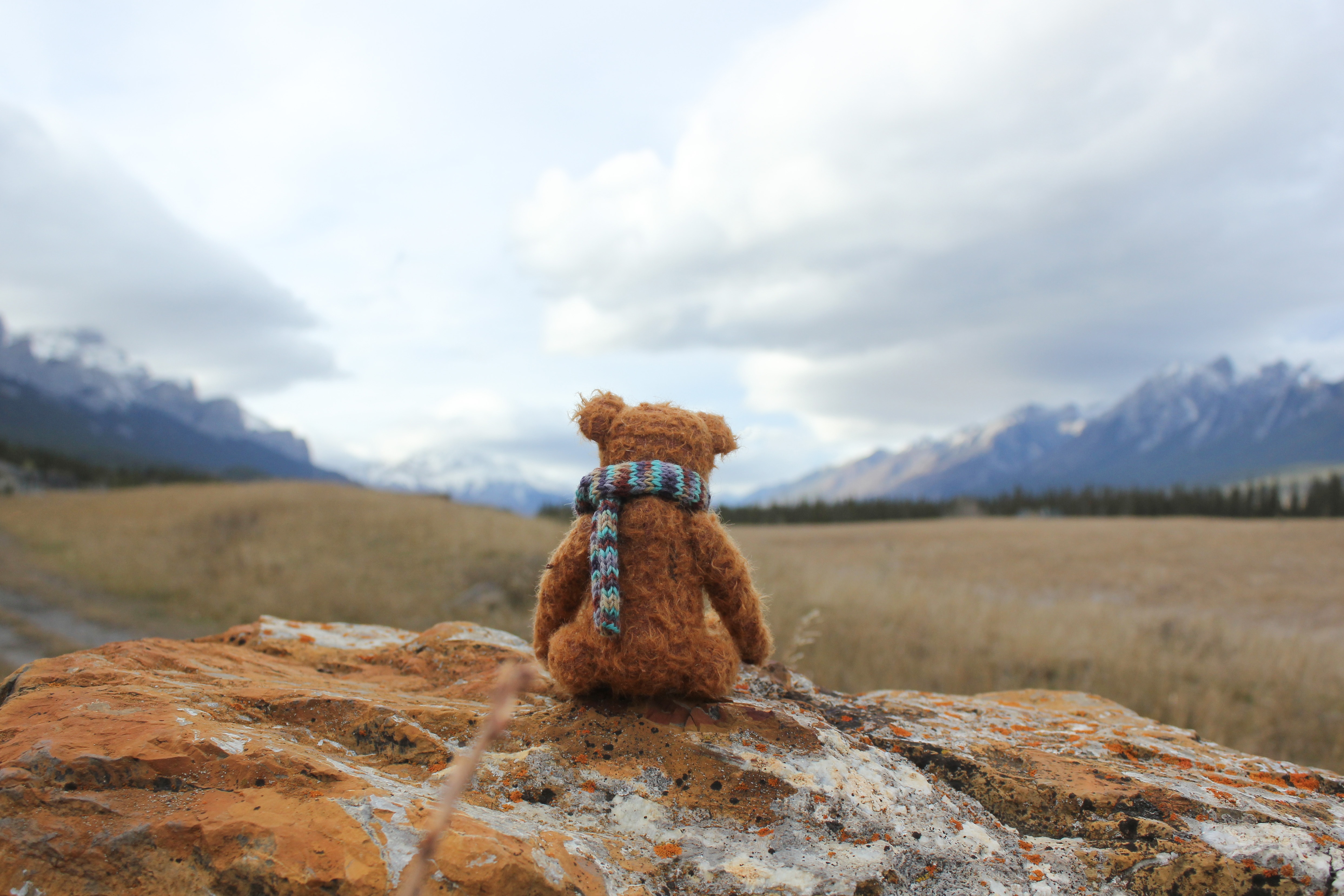 Free download wallpaper Teddy Bear, Rock, Miscellanea, Toy, Loneliness, Miscellaneous, Stone on your PC desktop