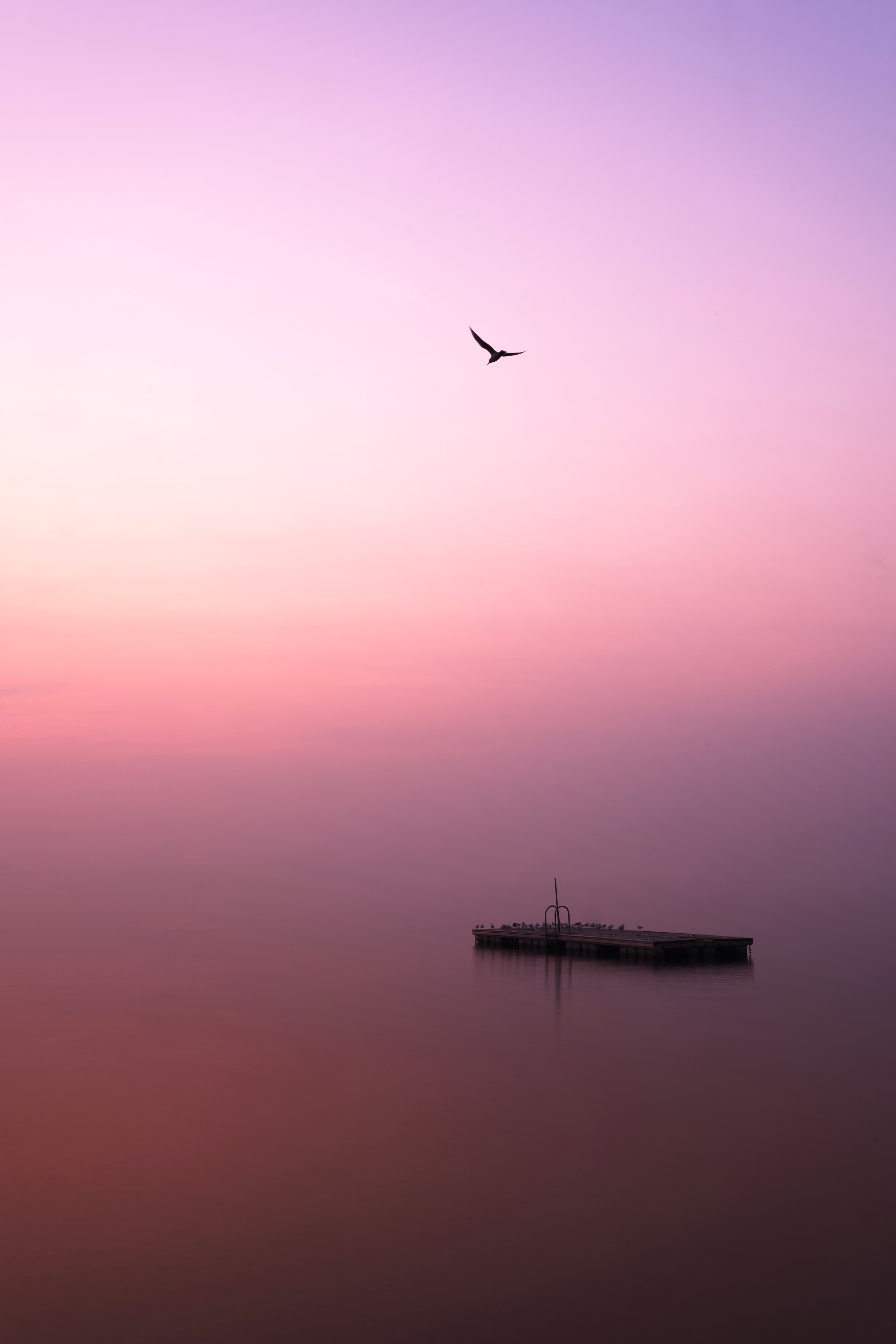 minimalism, pier, birds, lake, fog HD wallpaper