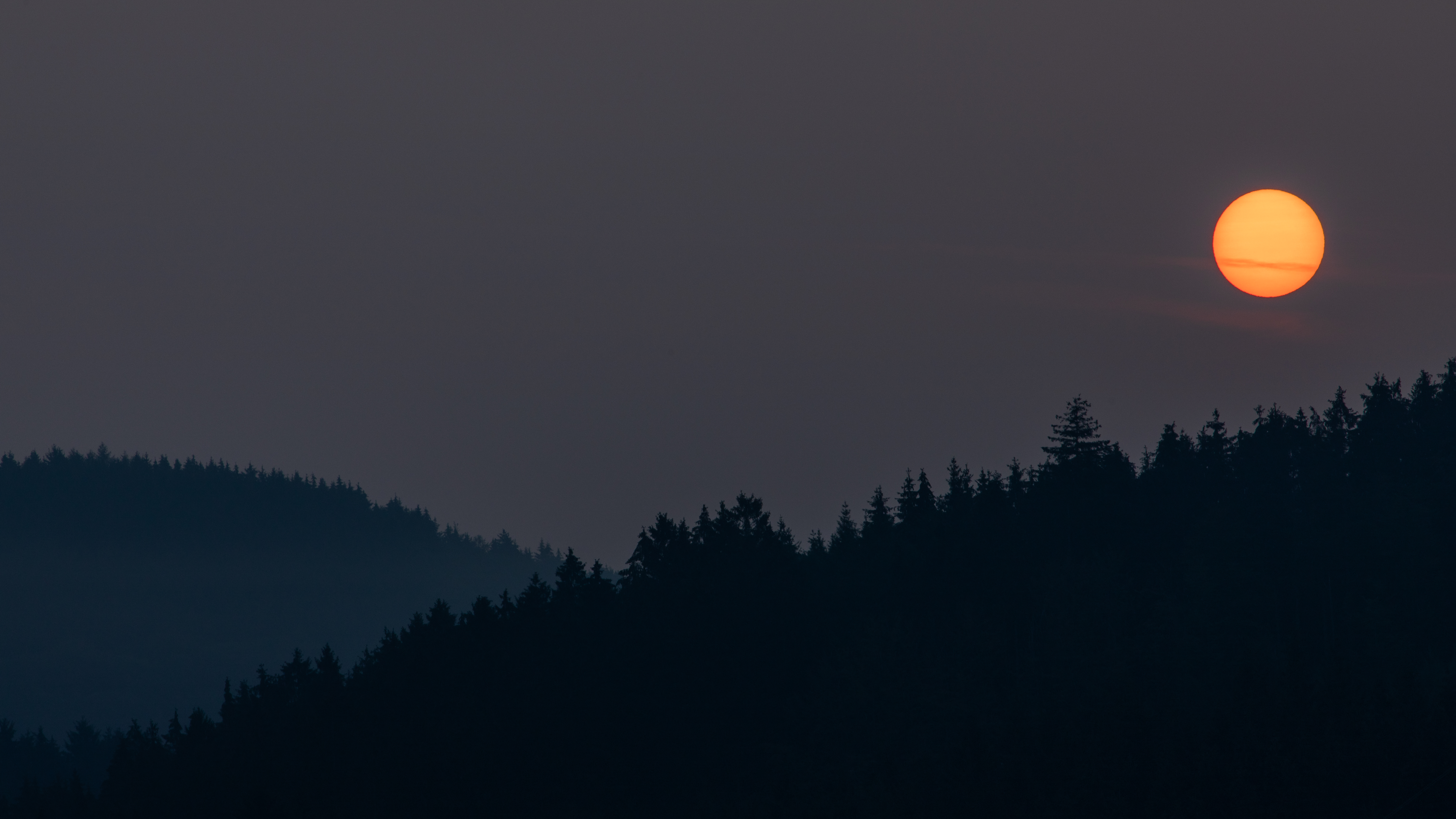 night, dark, landscape, moon, forest Desktop home screen Wallpaper