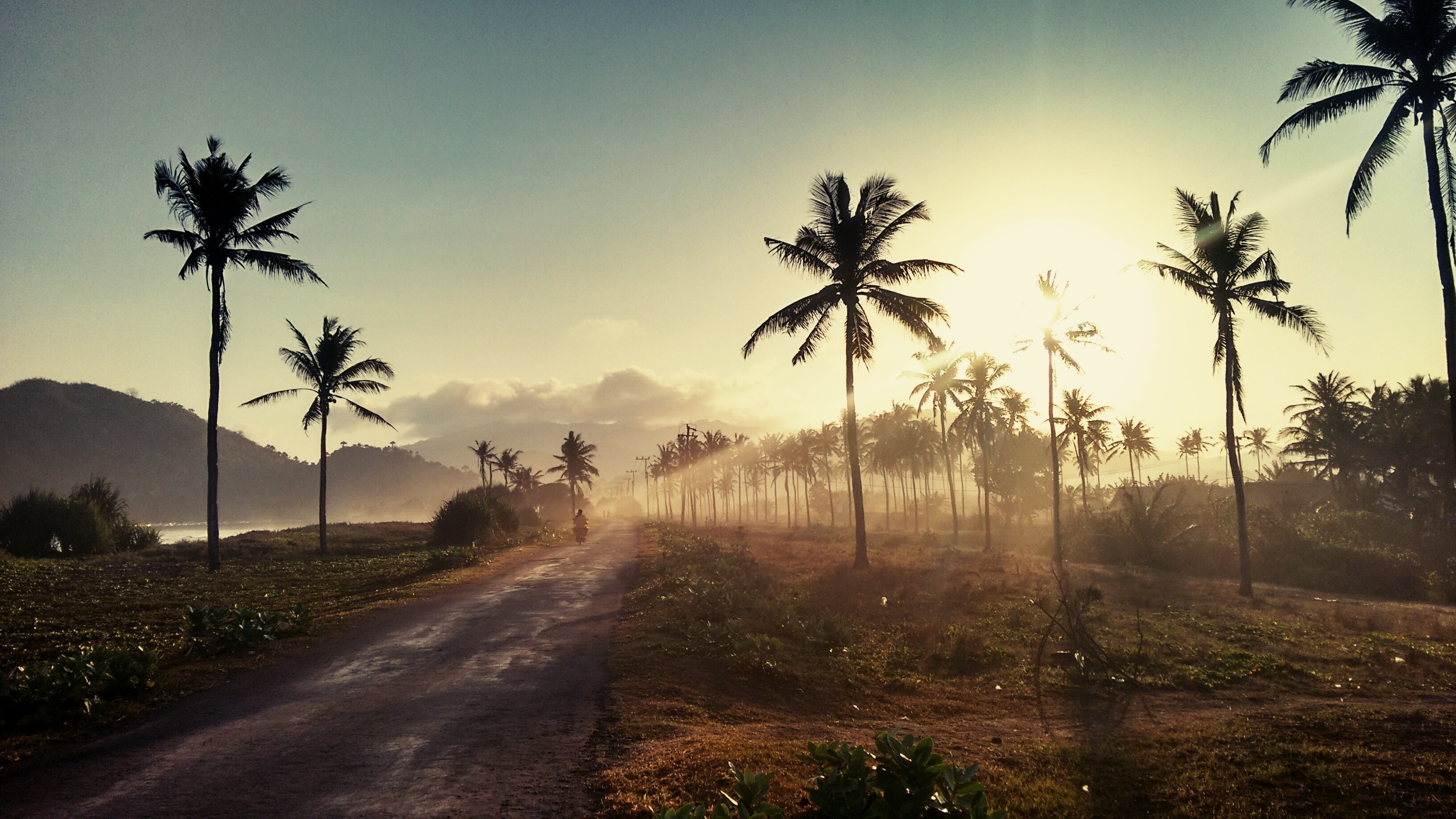 Download mobile wallpaper Palms, Sunset, Road, Nature for free.
