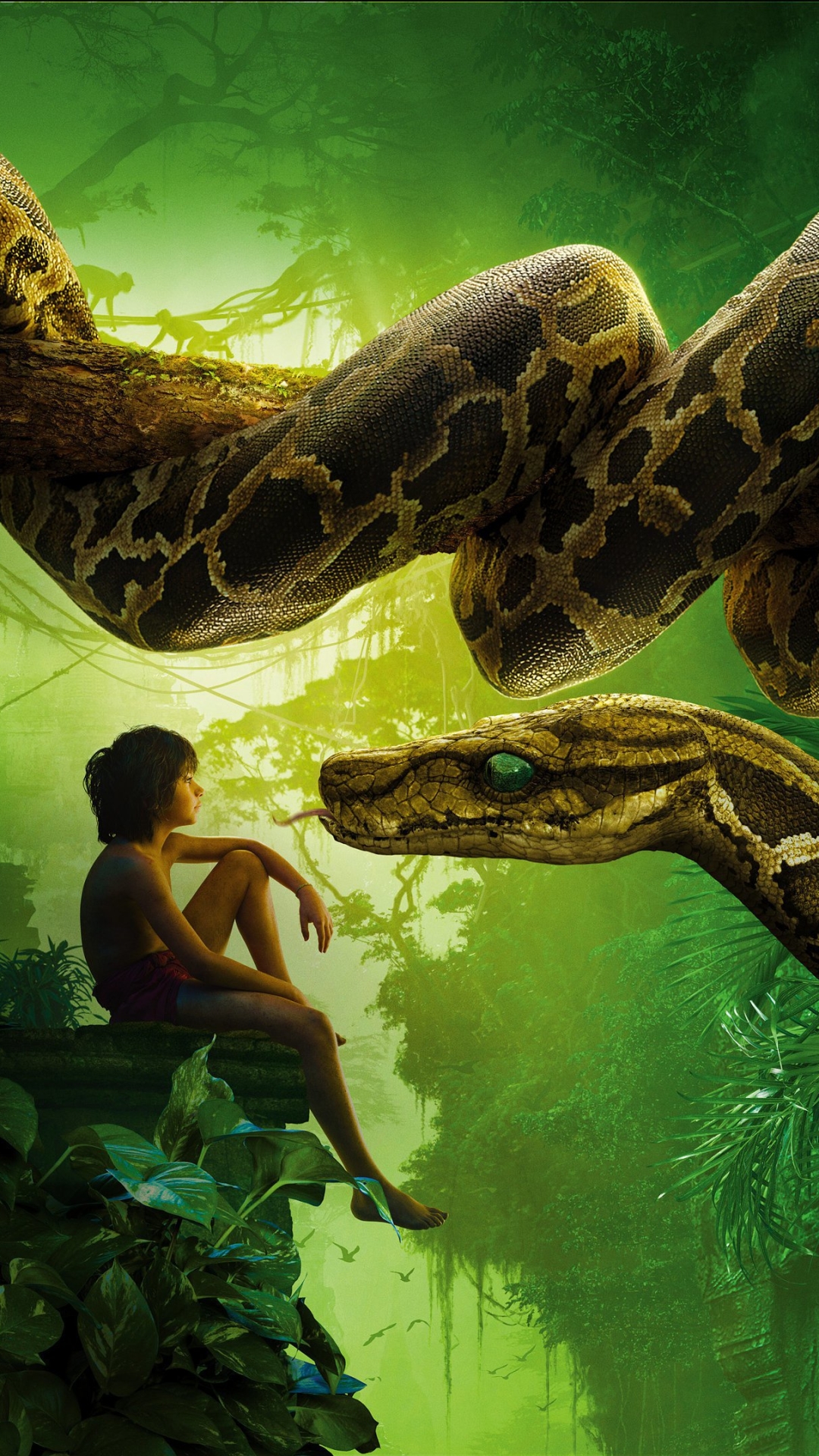 Download mobile wallpaper Movie, The Jungle Book, The Jungle Book (2016) for free.