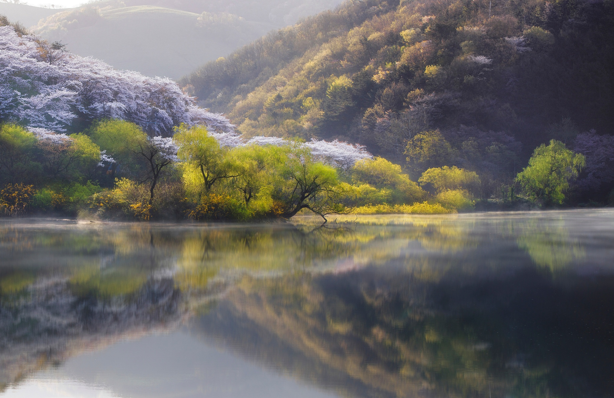 Descarga gratis la imagen Naturaleza, Lago, Árbol, Tierra/naturaleza, Reflejo en el escritorio de tu PC