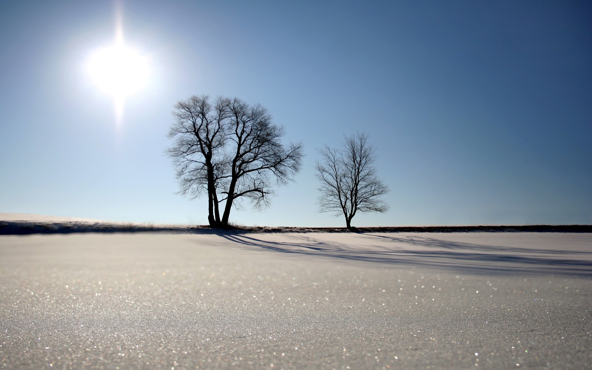 Download mobile wallpaper Winter, Tree, Earth for free.