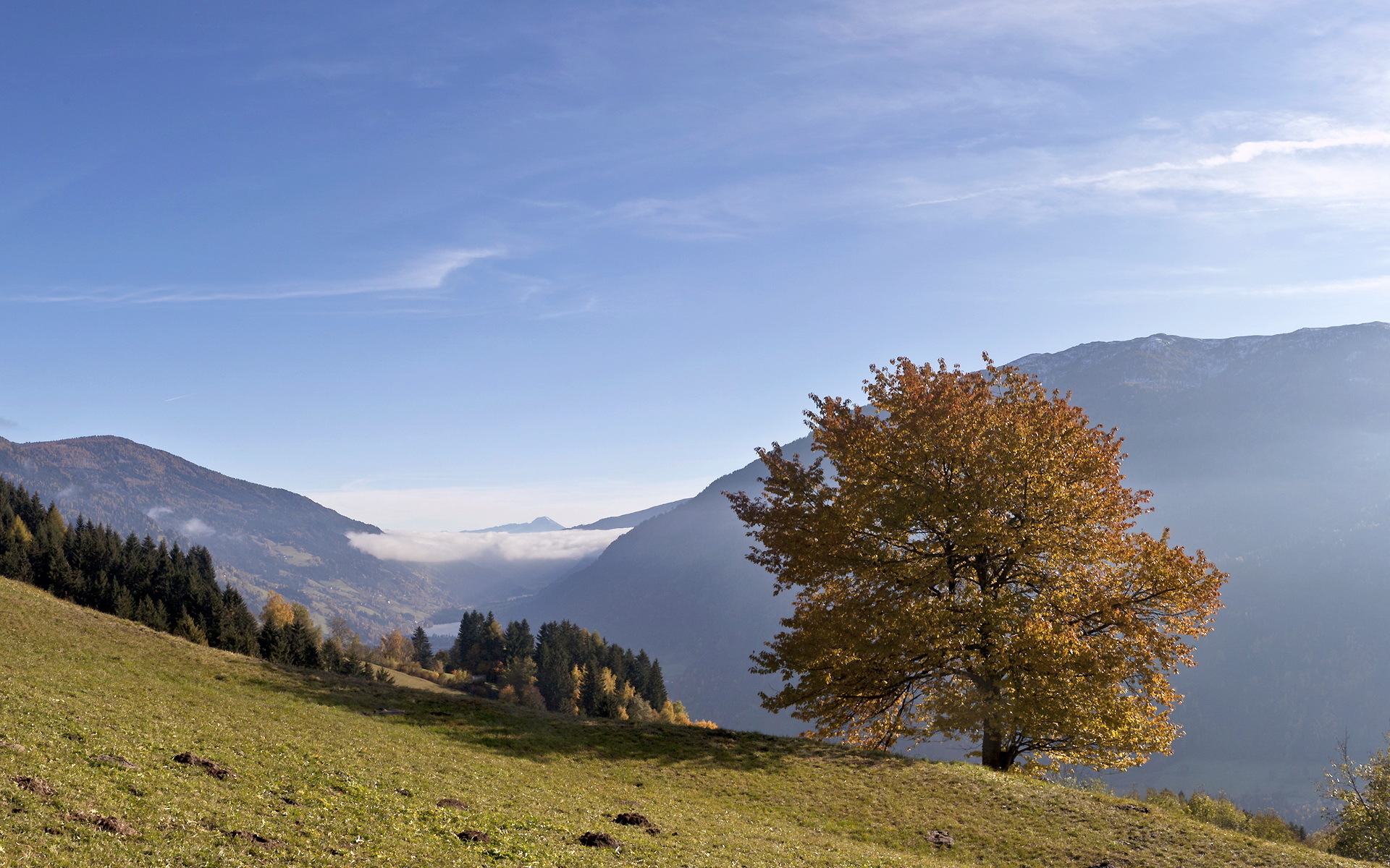 Laden Sie das Landschaft, Erde/natur-Bild kostenlos auf Ihren PC-Desktop herunter